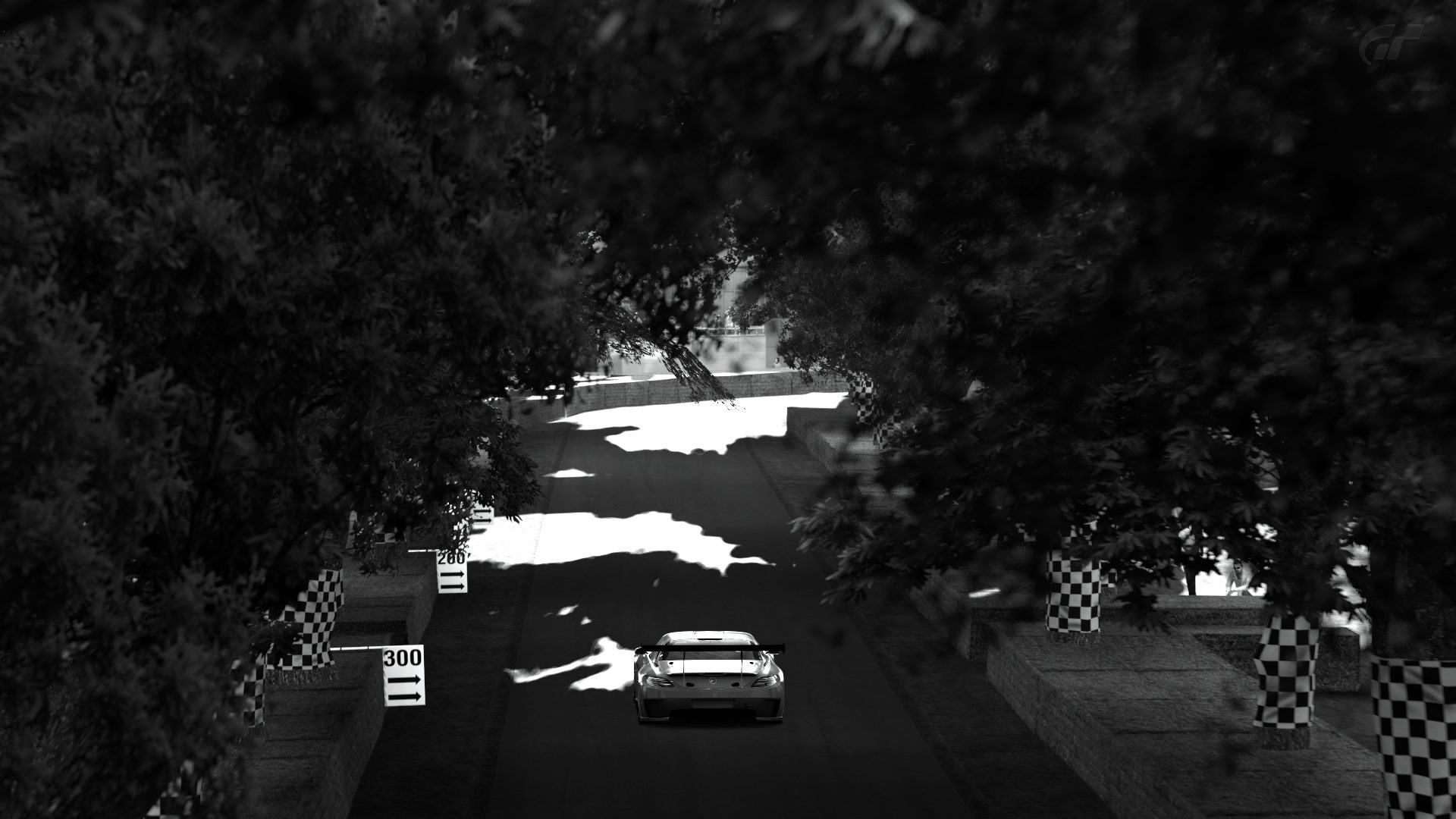 Goodwood Hillclimb_11.jpg