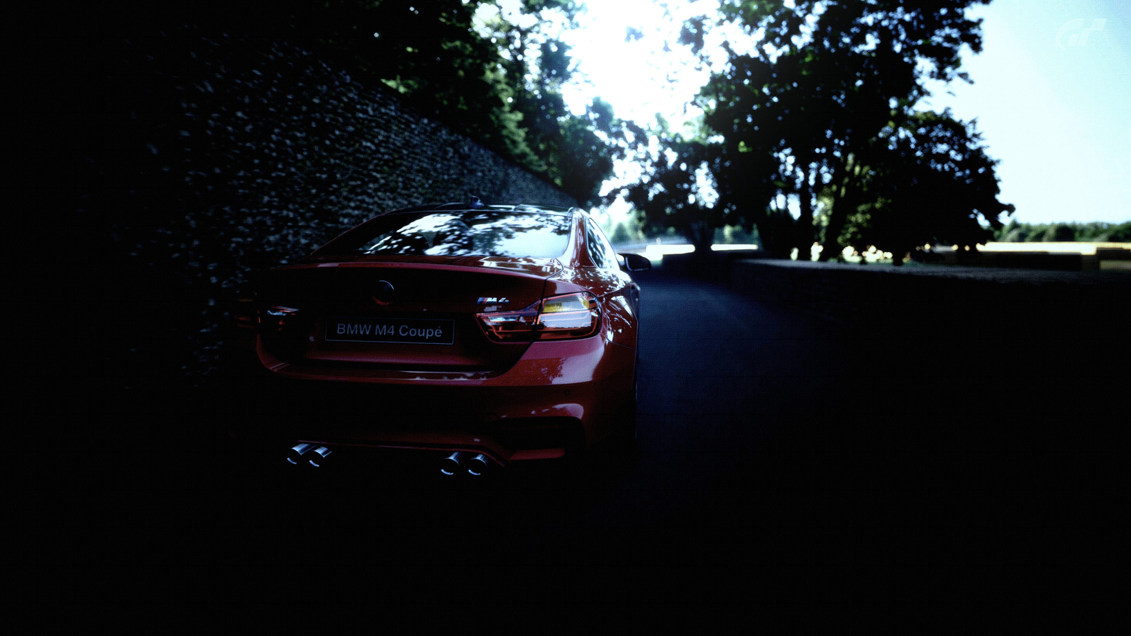 Goodwood Hillclimb_1edit - copia.jpg