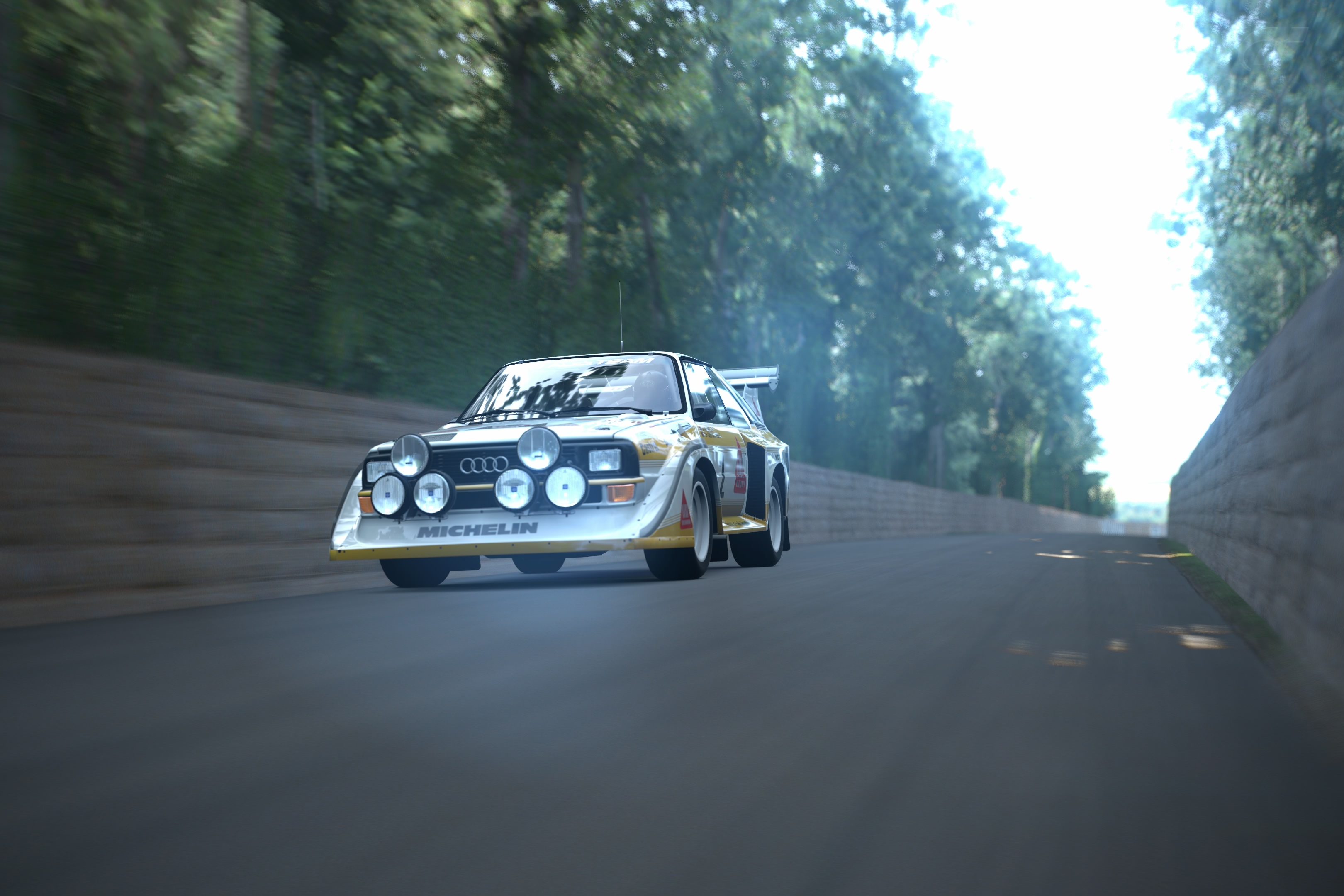 Goodwood Hillclimb_5.jpg