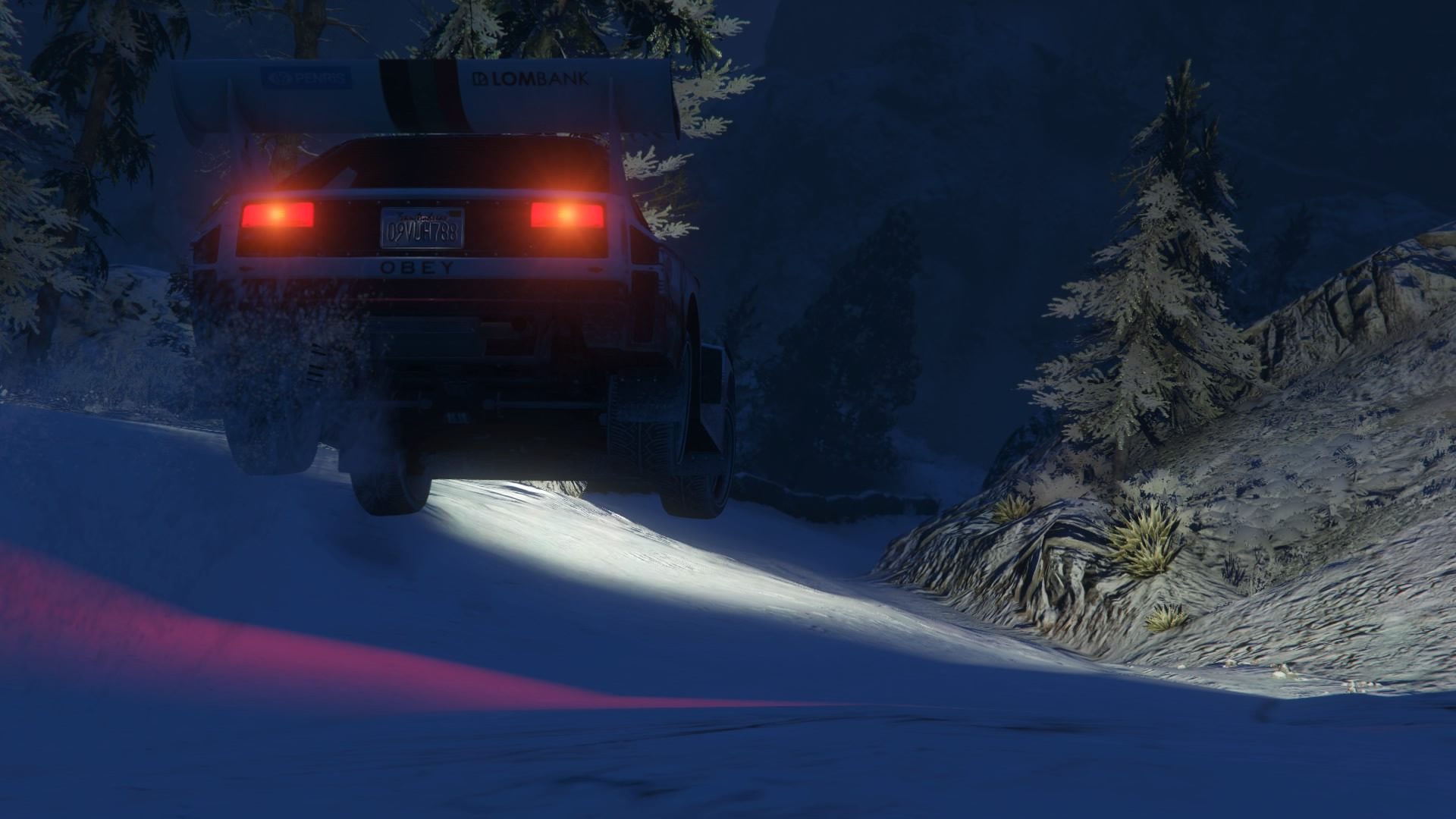 Grand Theft Auto V - Rallying In The Snow - 55
