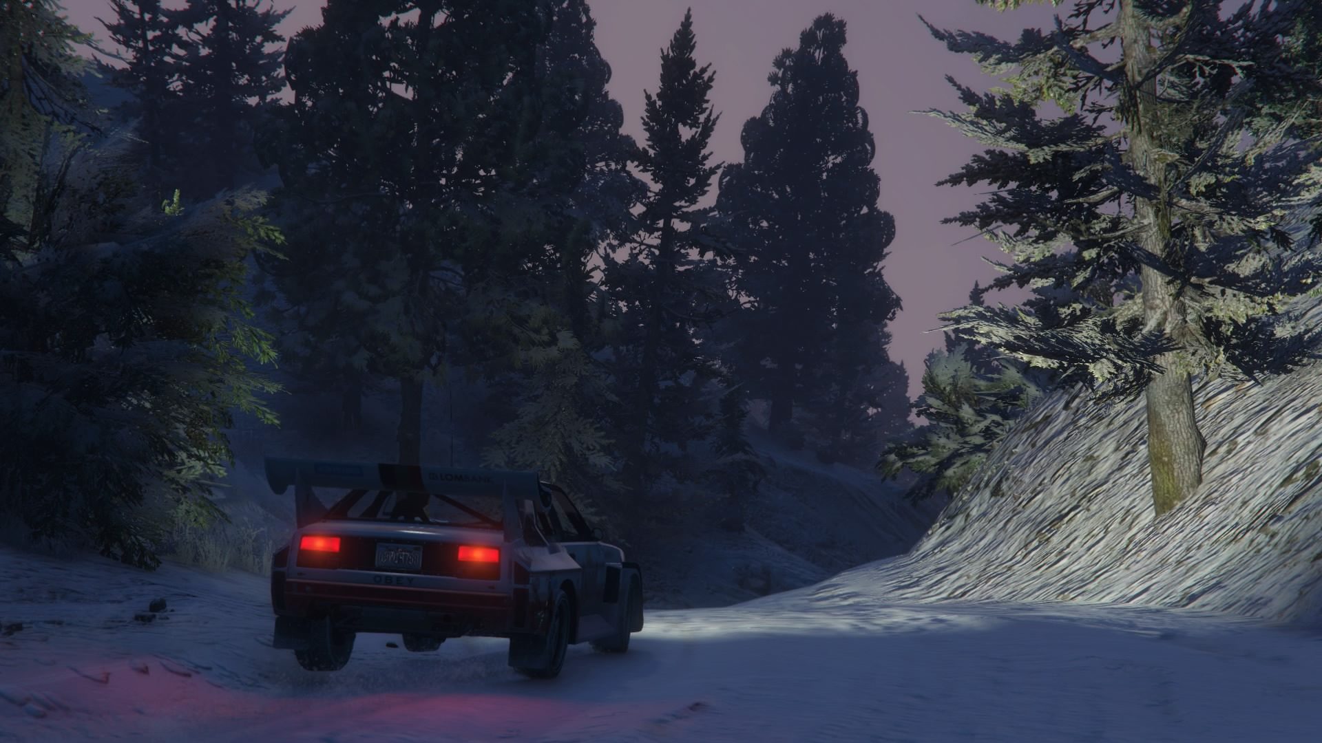 Grand Theft Auto V - Rallying In The Snow - 58