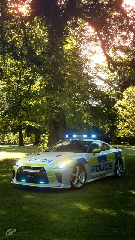 GTR_Police_car_UK_Livery_front-right_4972058655526519300_0.jpg