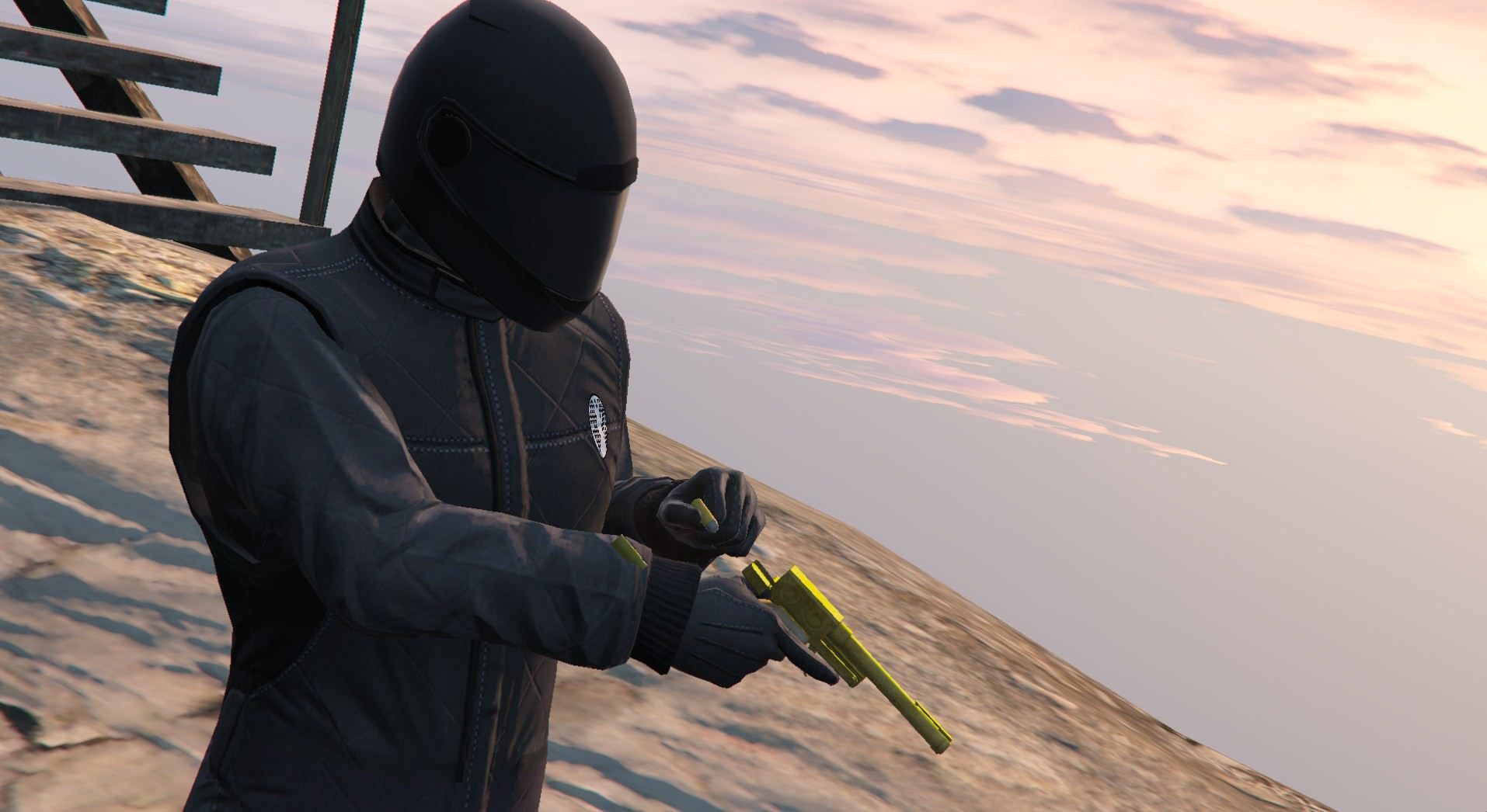 Having a quick look at the new Cayo Perico Heist weaponry, featuring the tamed racing animal 17