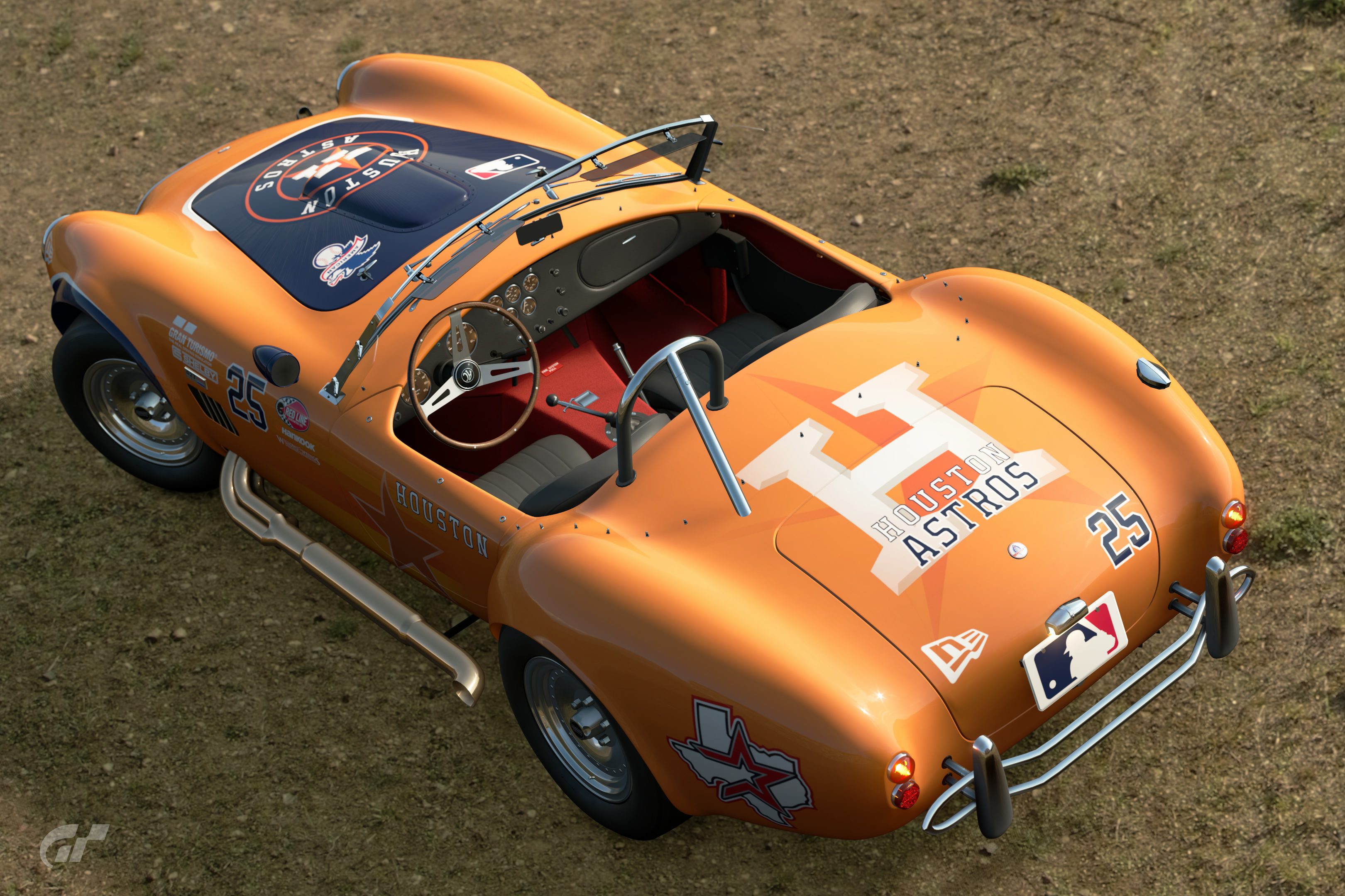 Houston Astros Rear