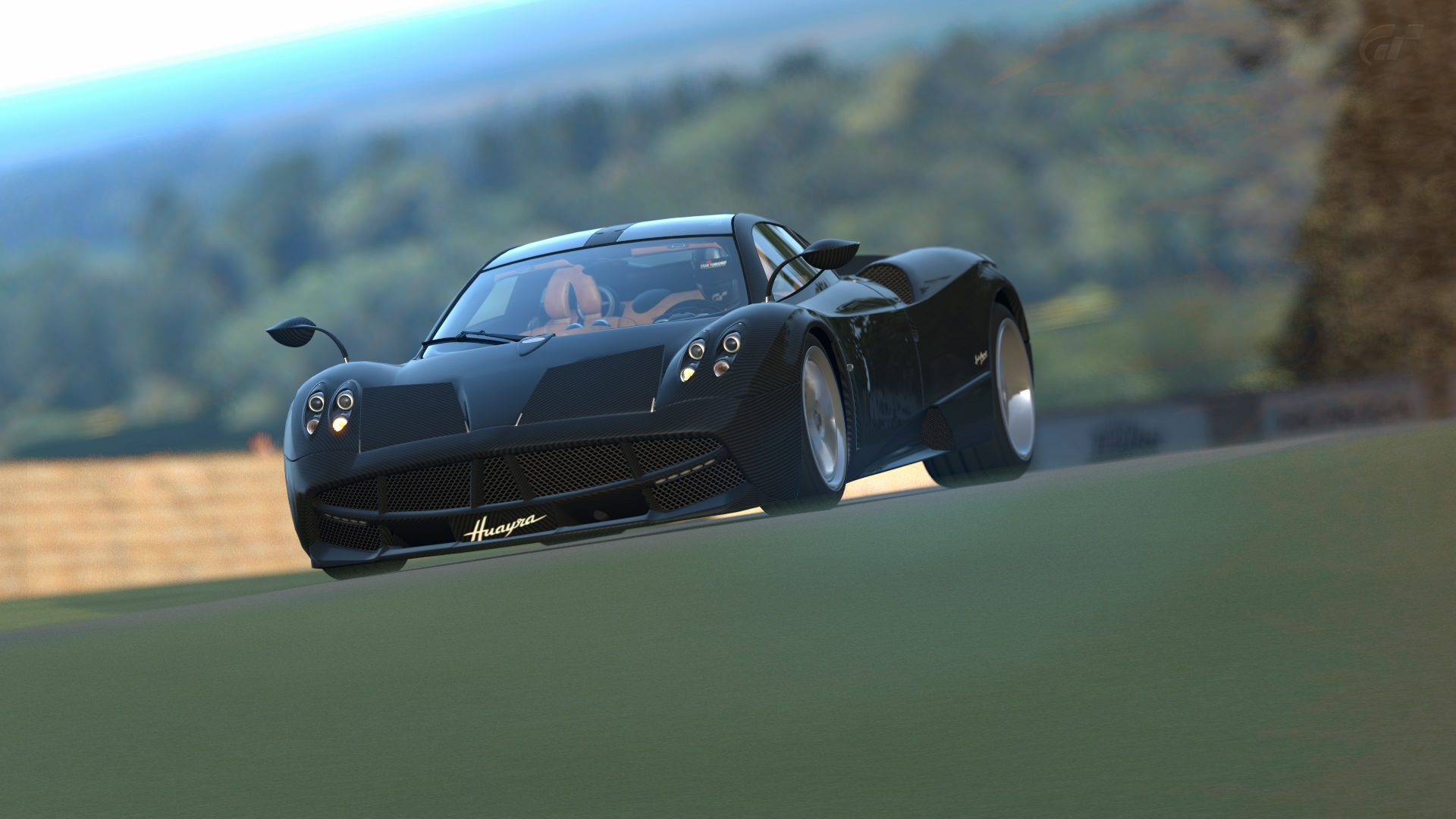 Huayra Goodwood (8)