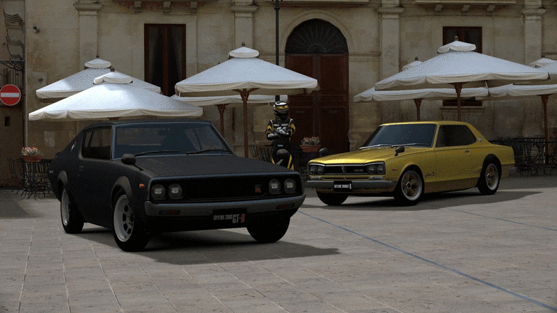 imageedit_33_9731556851.gif