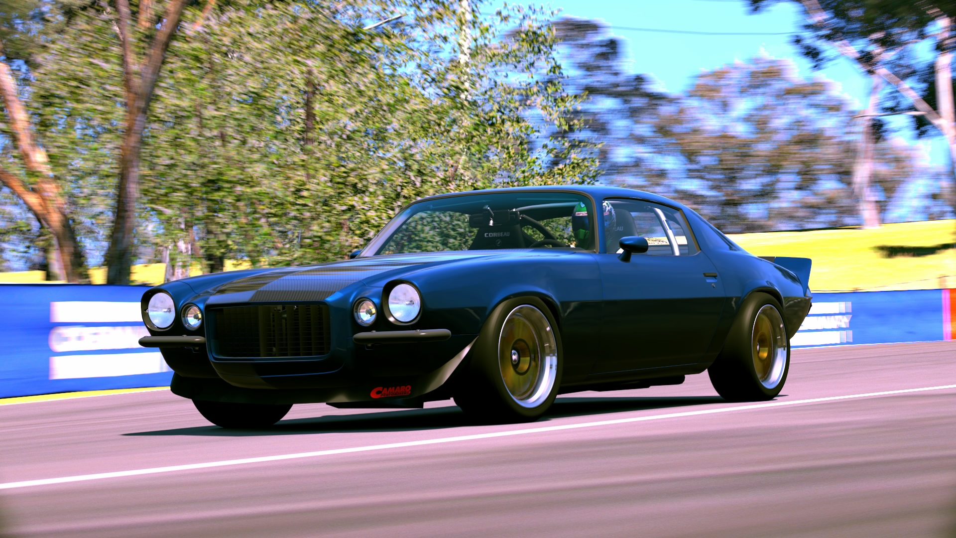 Mary Pozzi Camaro @ The Esses.jpg