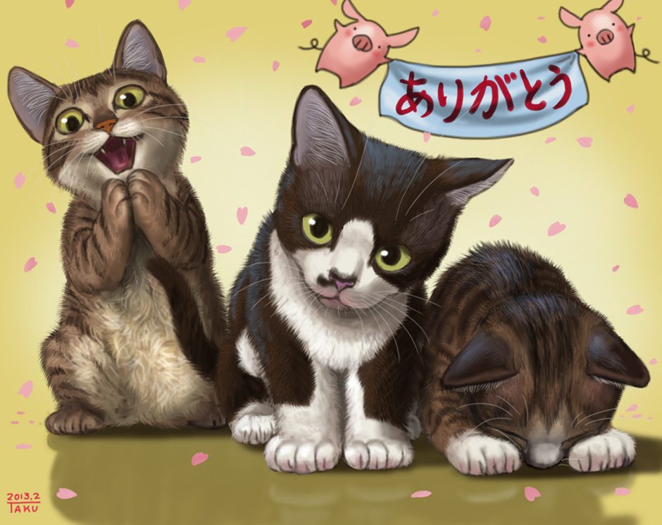 Meow times three
