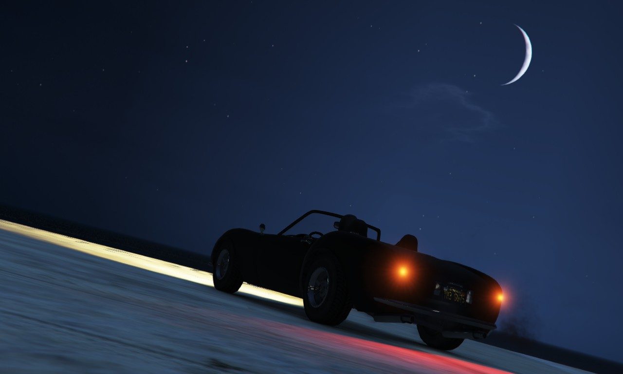 Moonlight view with tamed competition animal "The Guts" 1