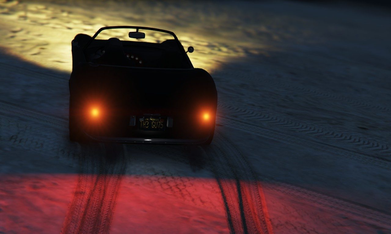 Moonlight view with tamed competition animal "The Guts" 2