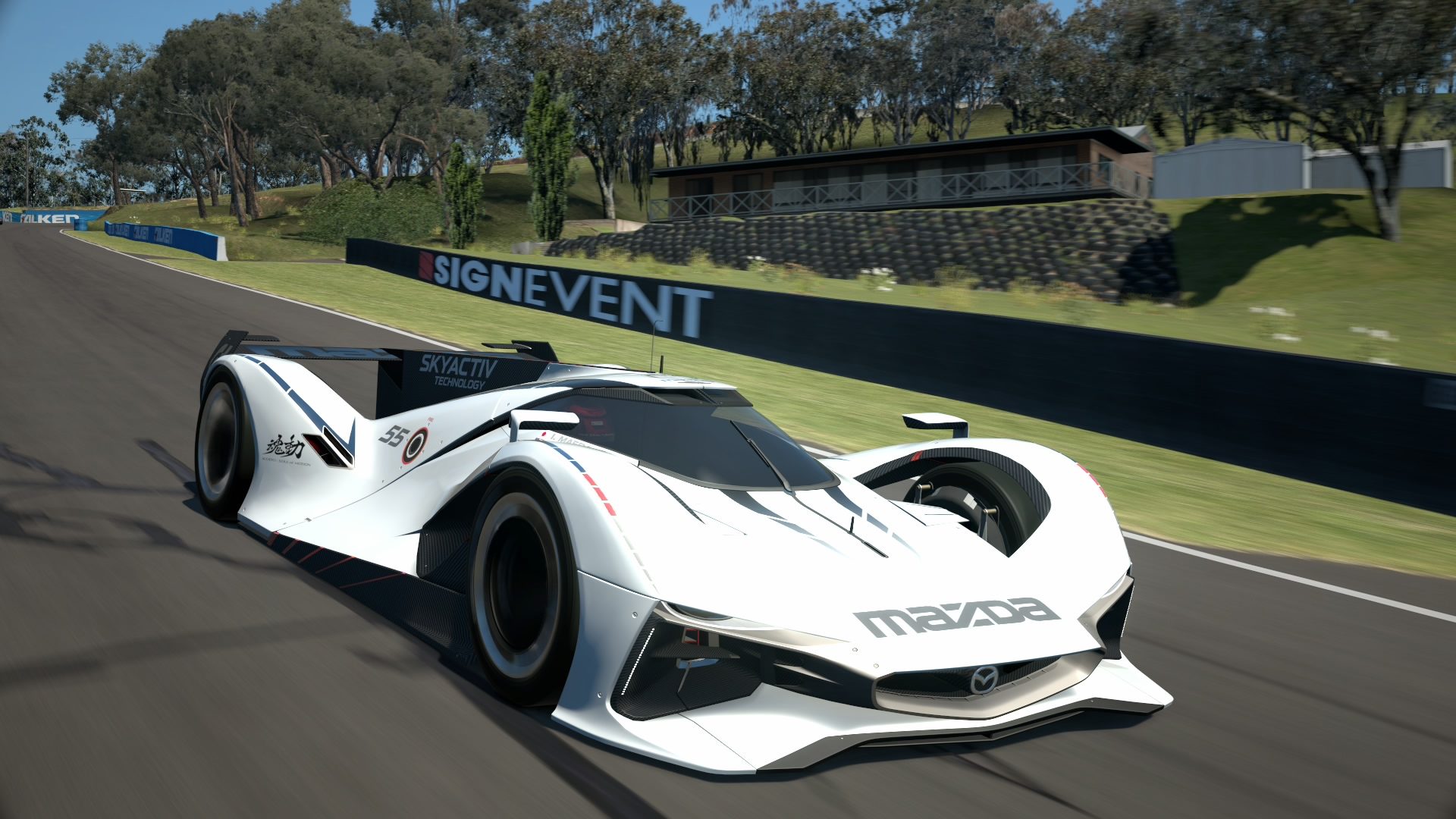 Mount Panorama Motor Racing Circuit_10 (4).jpg