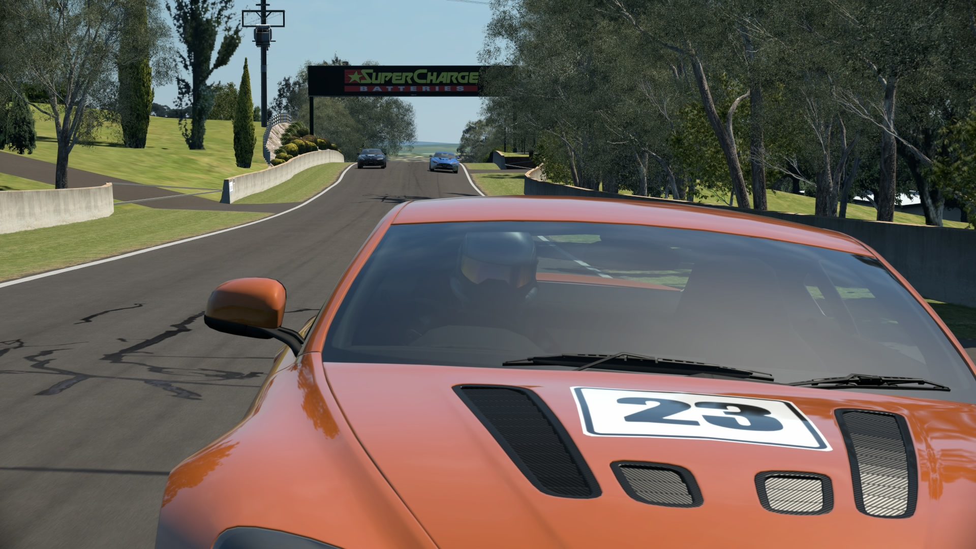 Mount Panorama Motor Racing Circuit_12