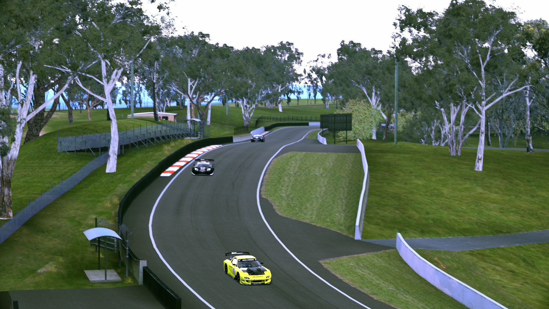 Mount Panorama Motor Racing Circuit_14.jpg