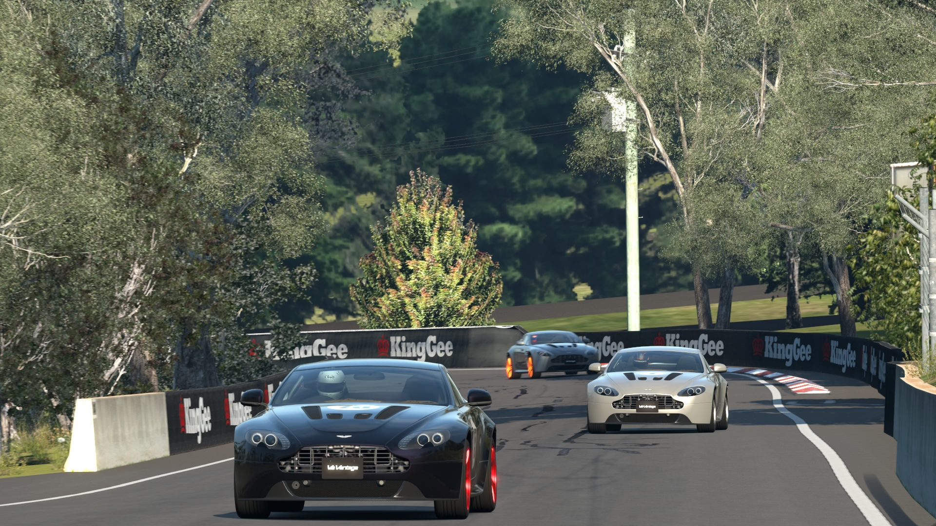 Mount Panorama Motor Racing Circuit_14