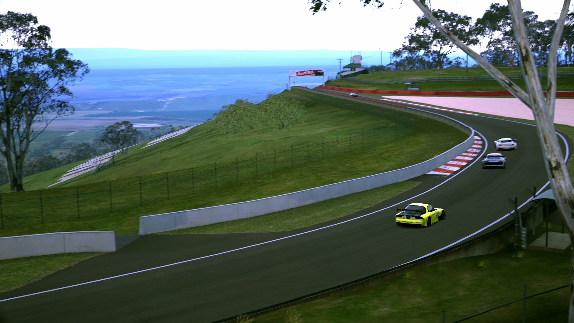 Mount Panorama Motor Racing Circuit_15 (4).jpg