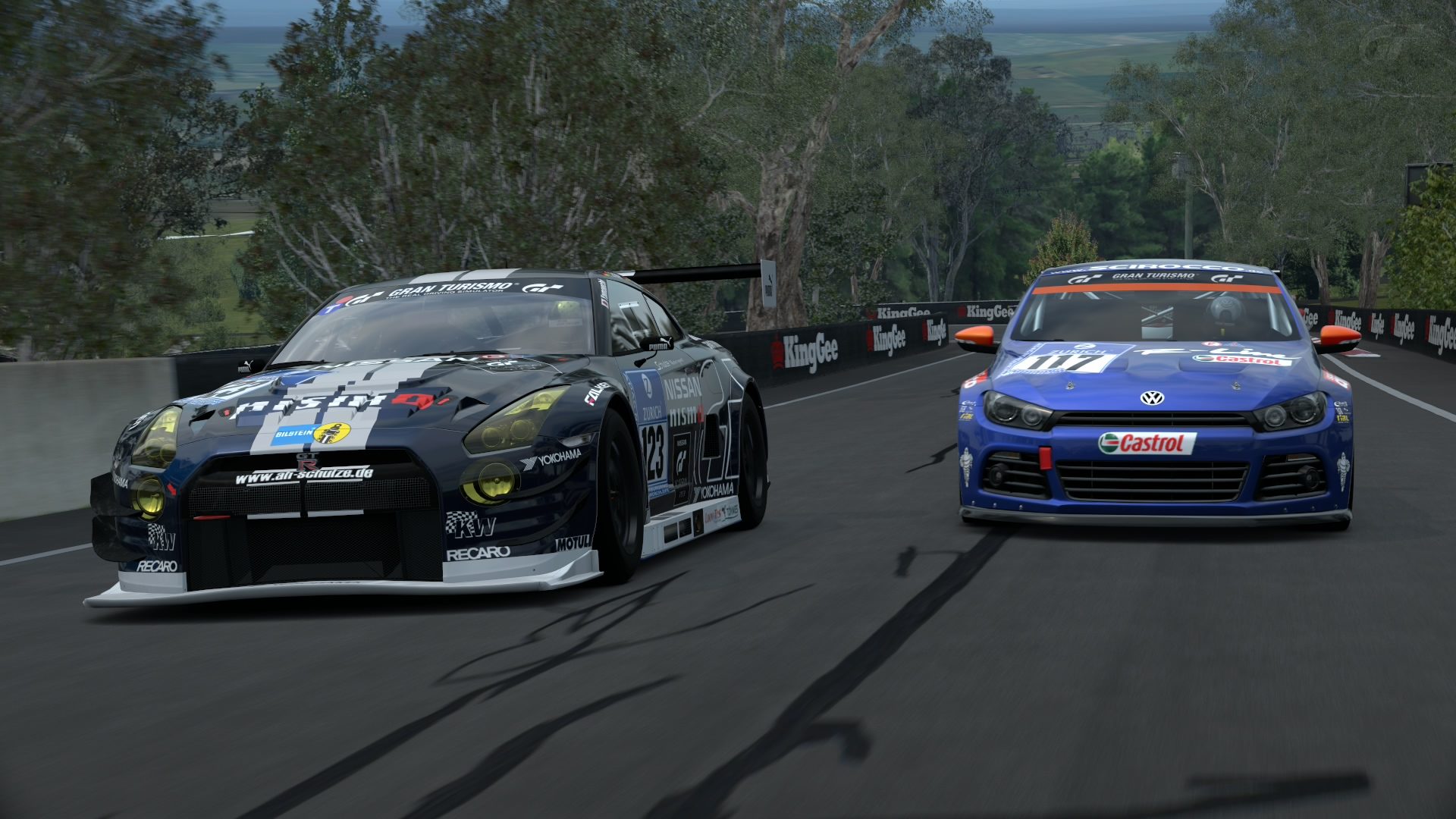 Mount Panorama Motor Racing Circuit_15.jpg