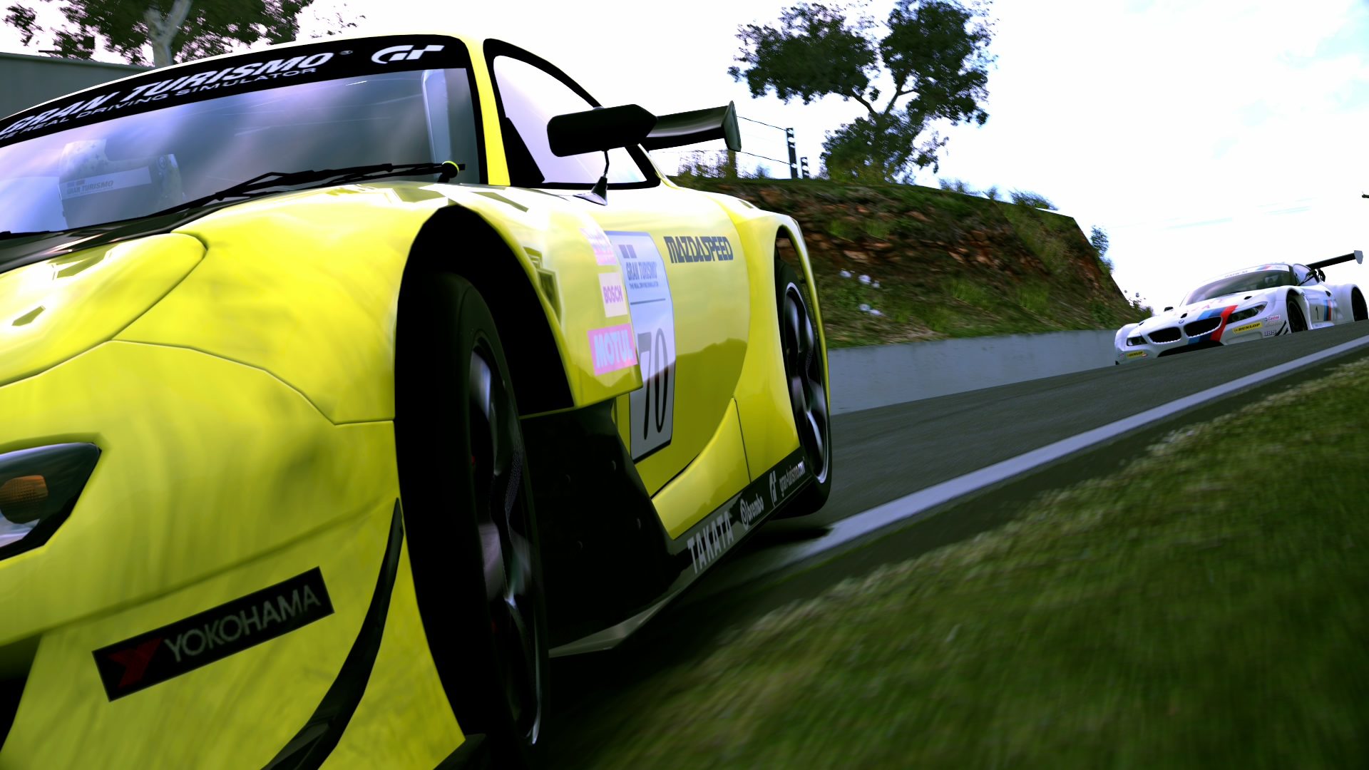 Mount Panorama Motor Racing Circuit_16.jpg