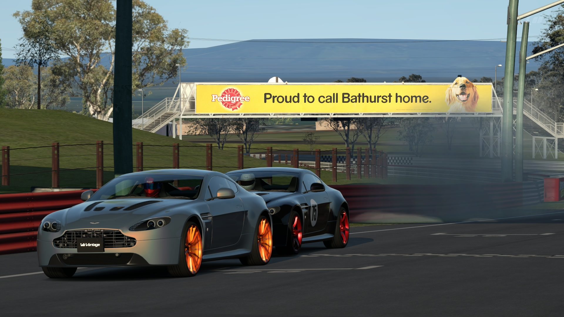 Mount Panorama Motor Racing Circuit_16