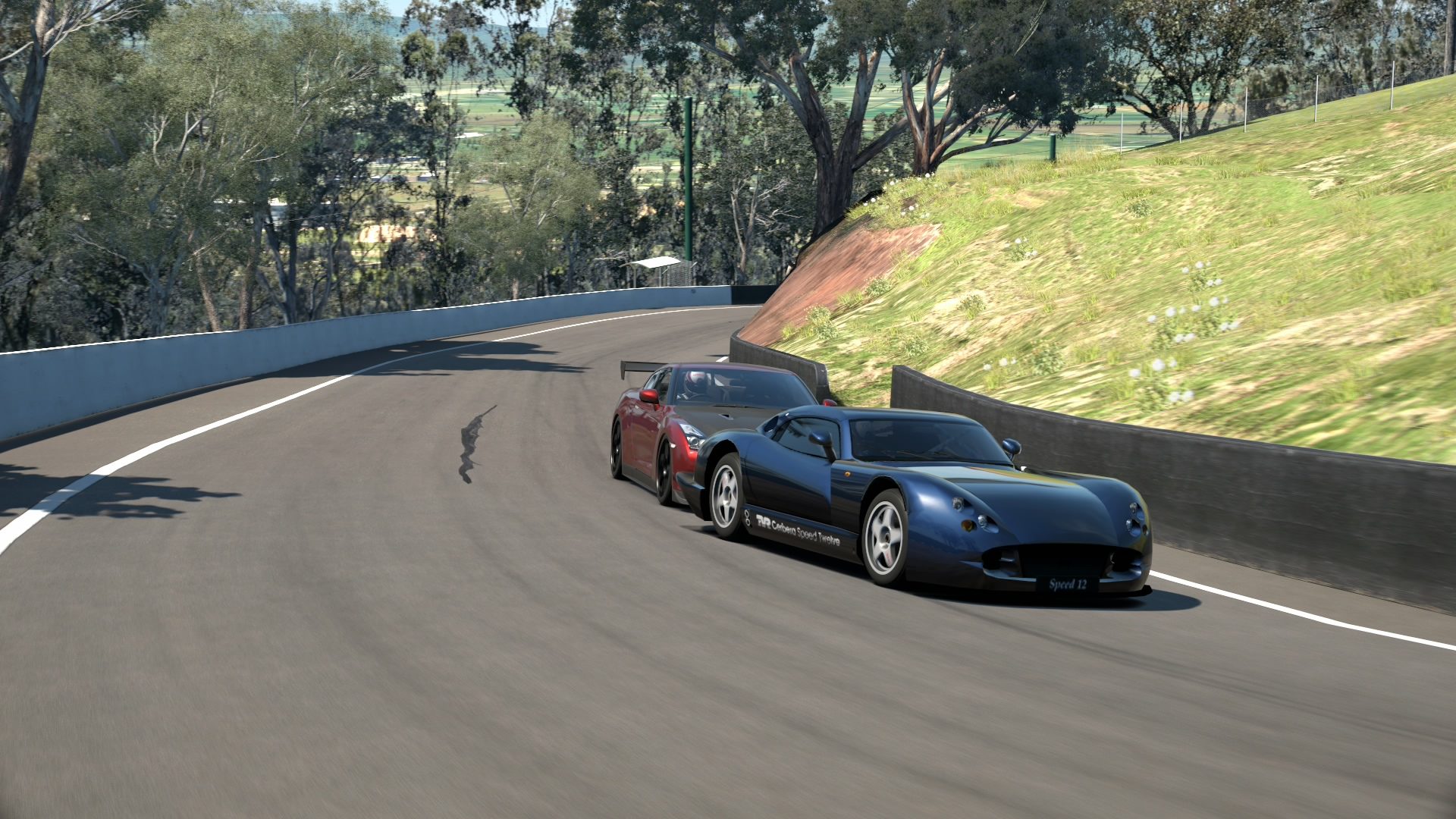 Mount Panorama Motor Racing Circuit_2.jpg