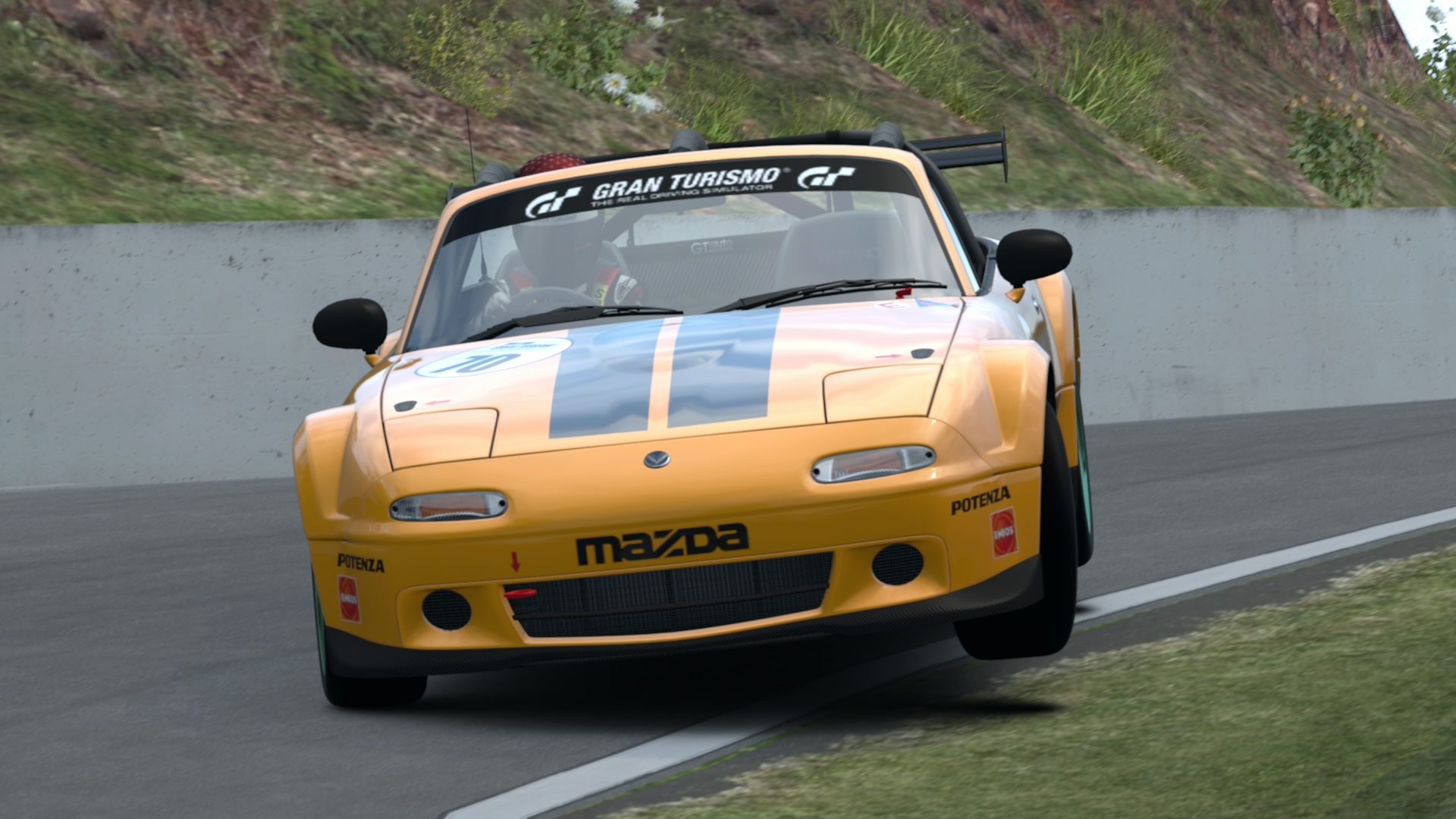 Mount Panorama Motor Racing Circuit_5.jpg