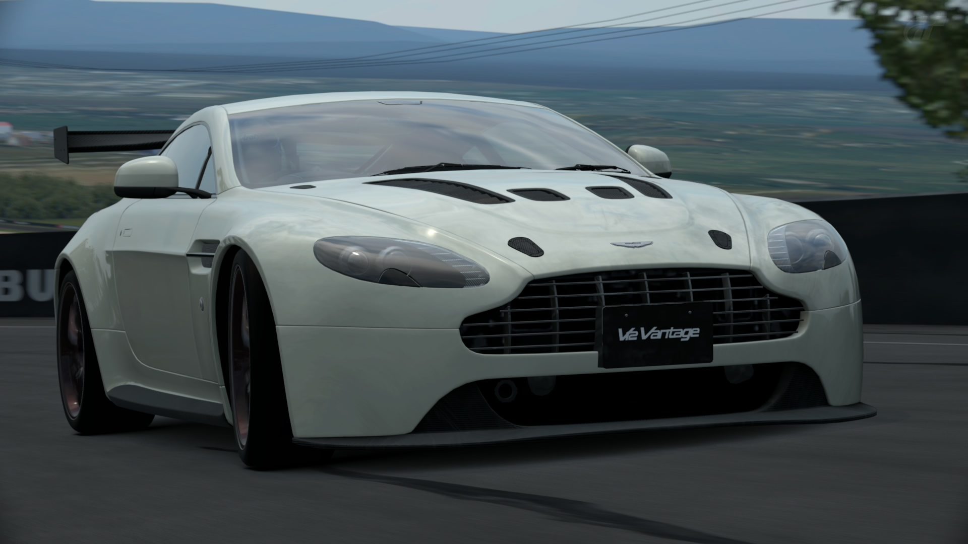 Mount Panorama Motor Racing Circuit_5.jpg