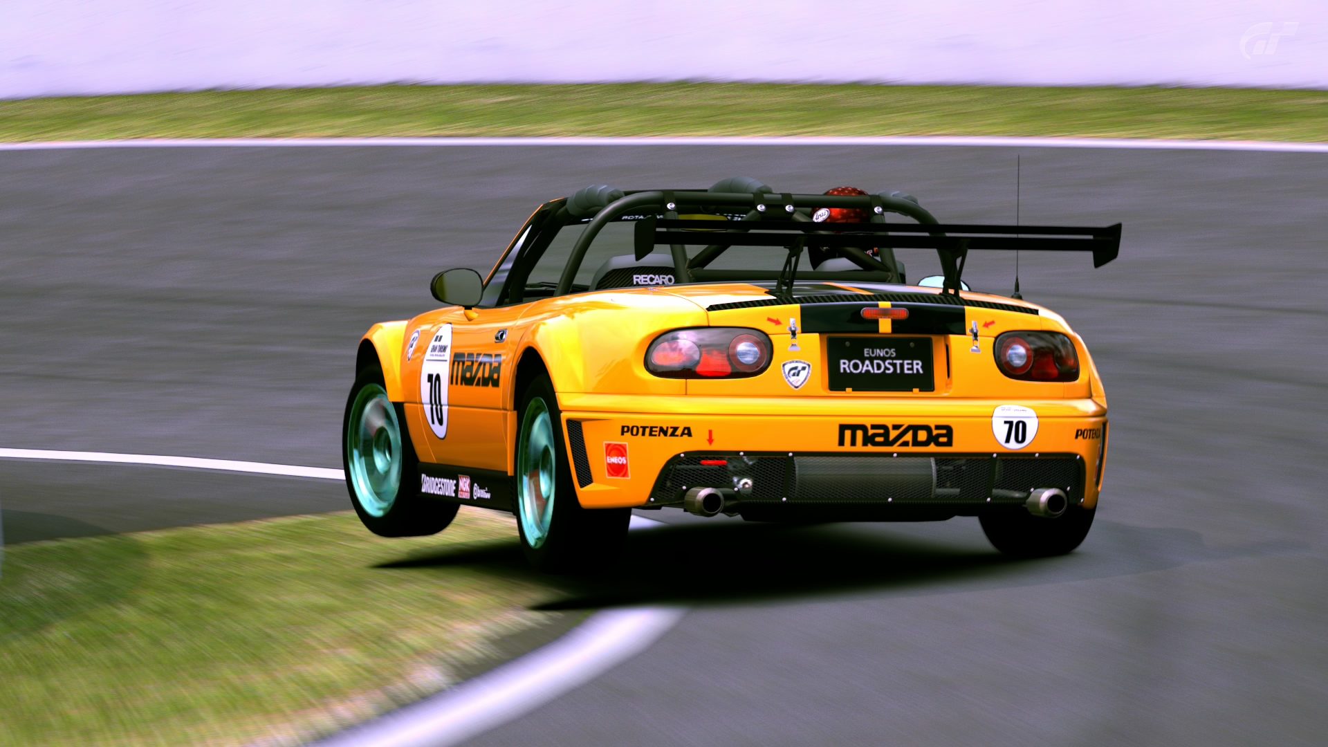 Mount Panorama Motor Racing Circuit_8.jpg