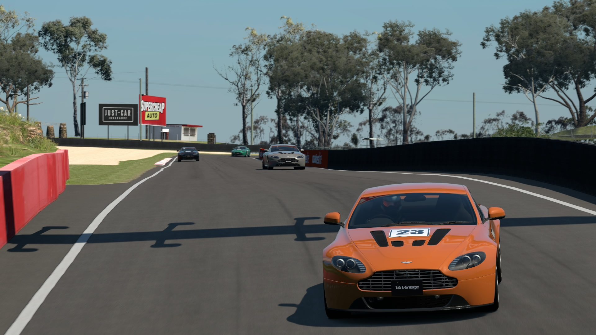 Mount Panorama Motor Racing Circuit_9