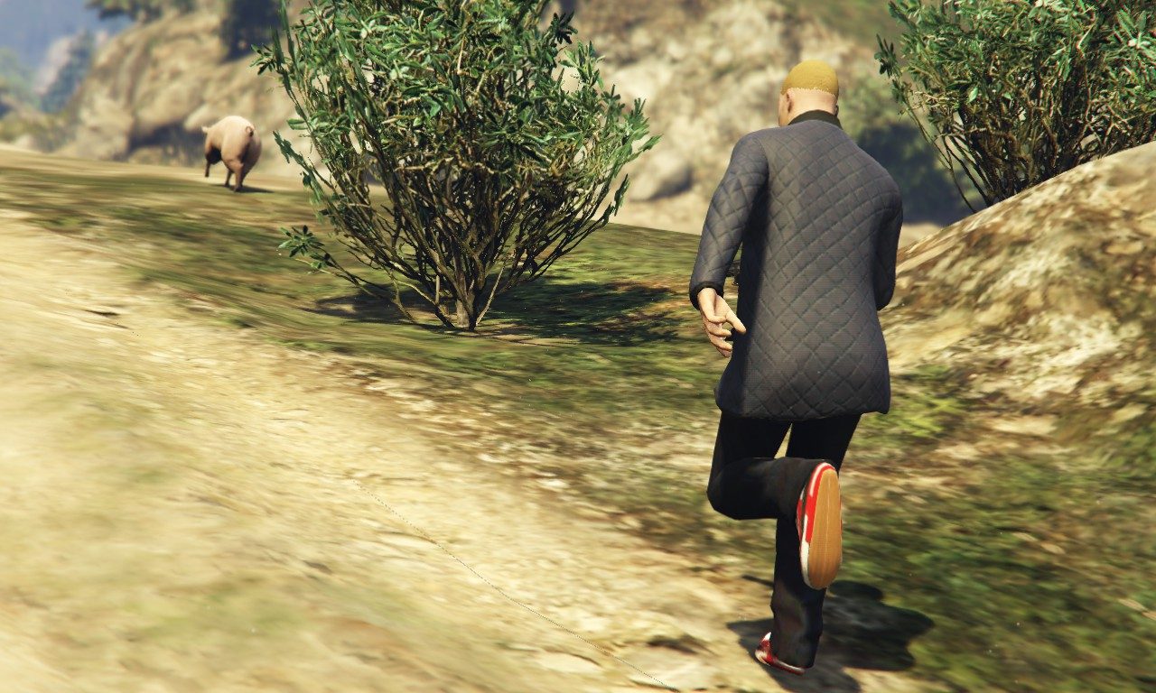 Murph the effing baconholic finds a pig 9