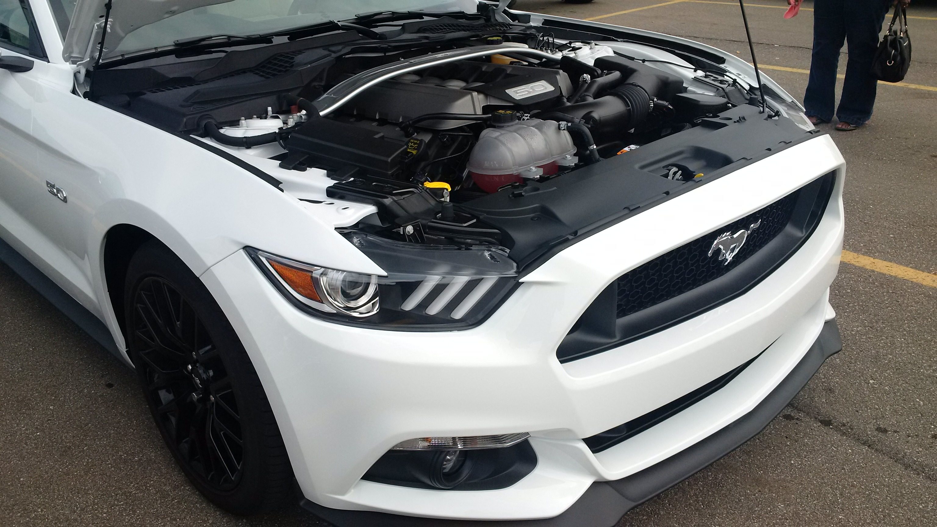 Mustang engine