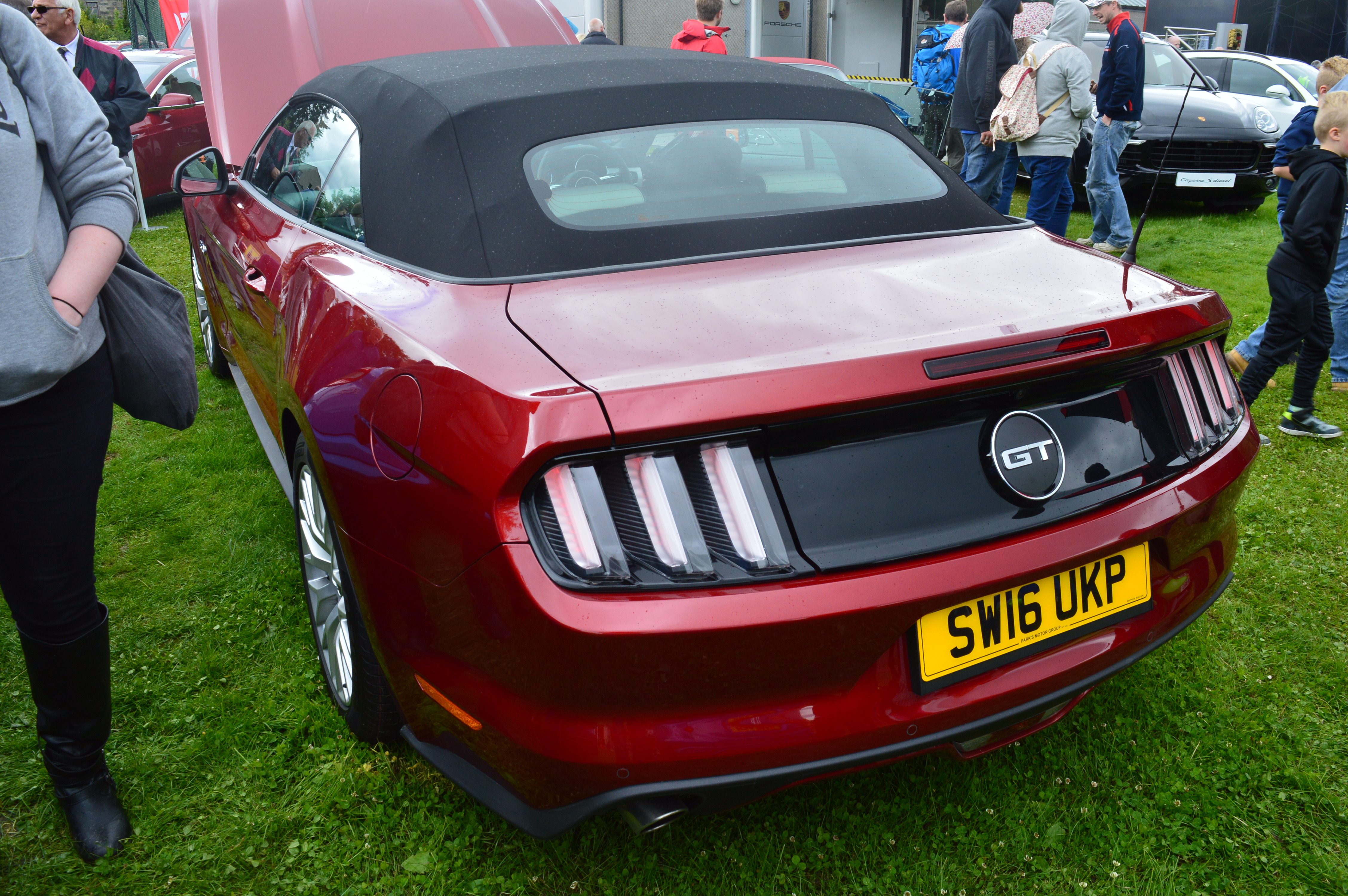Mustang