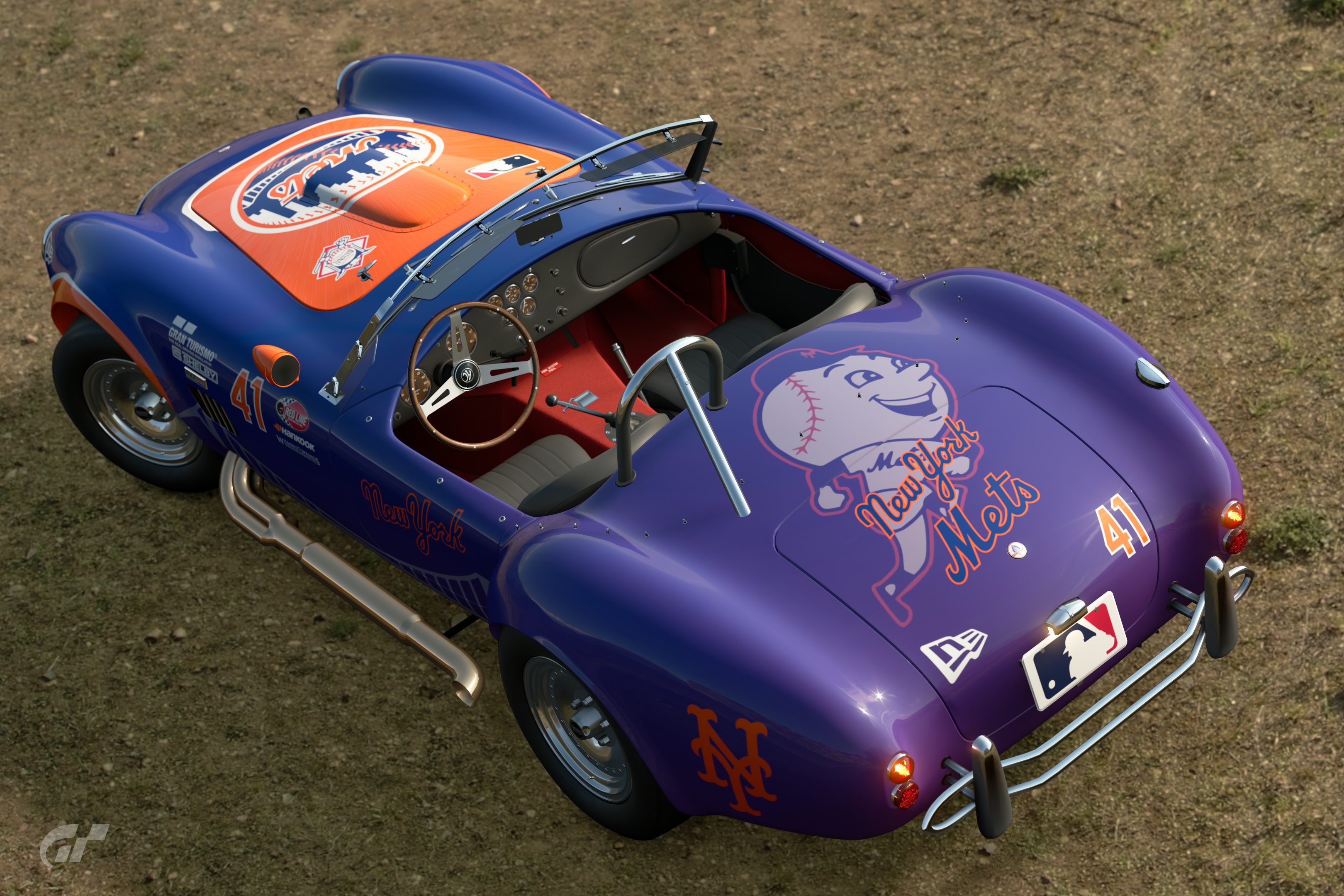 New York Mets Rear