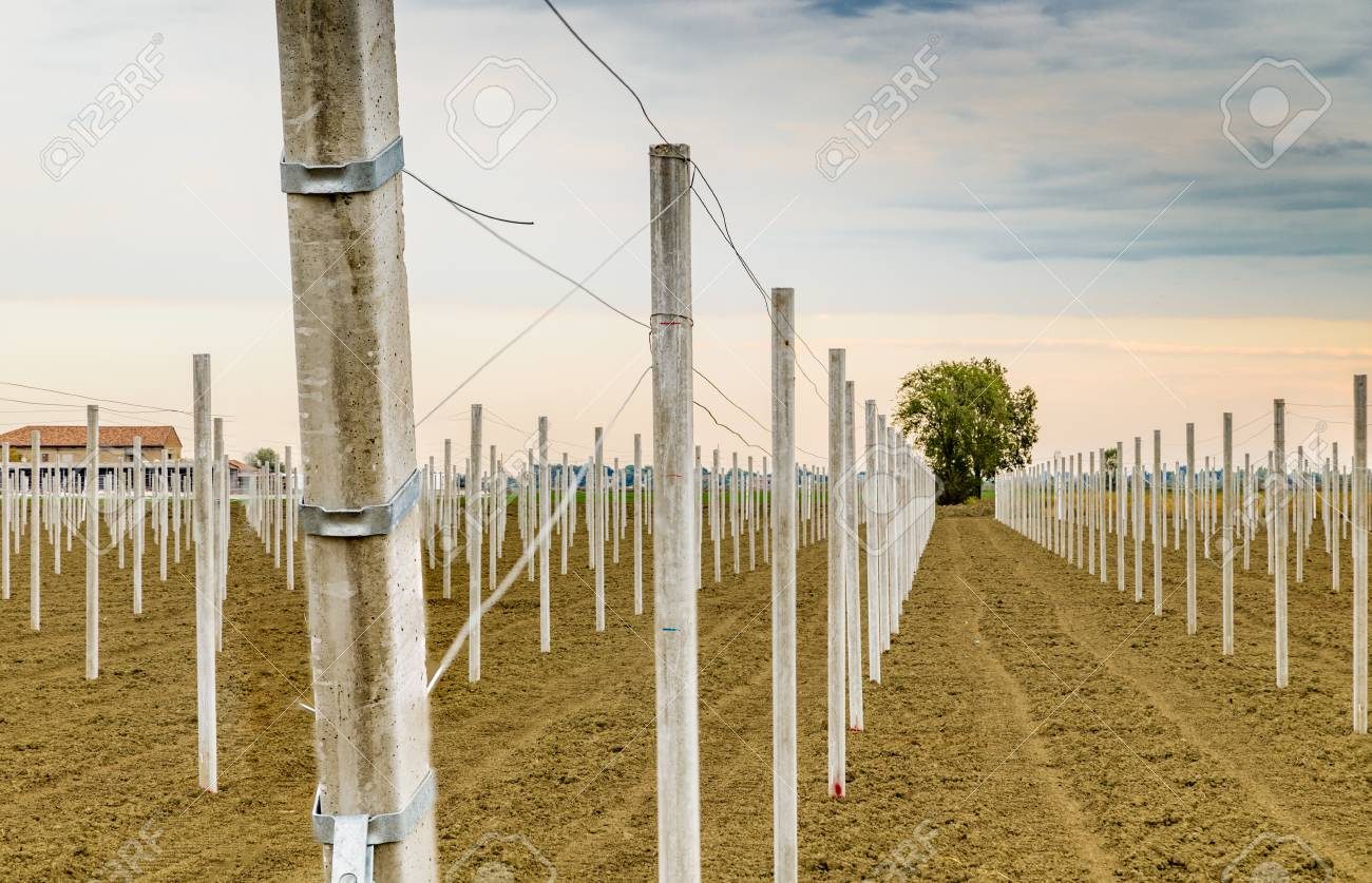 Pole Farming