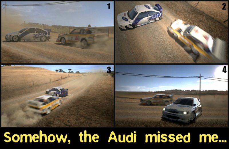 Ribbet collage.jpg