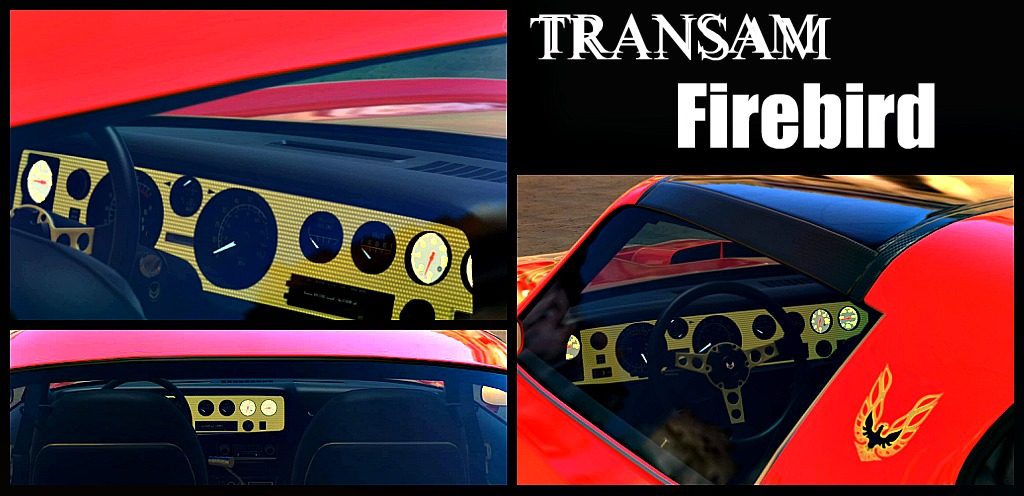 Ribbet collage-TransamFirebird-gauges.jpg