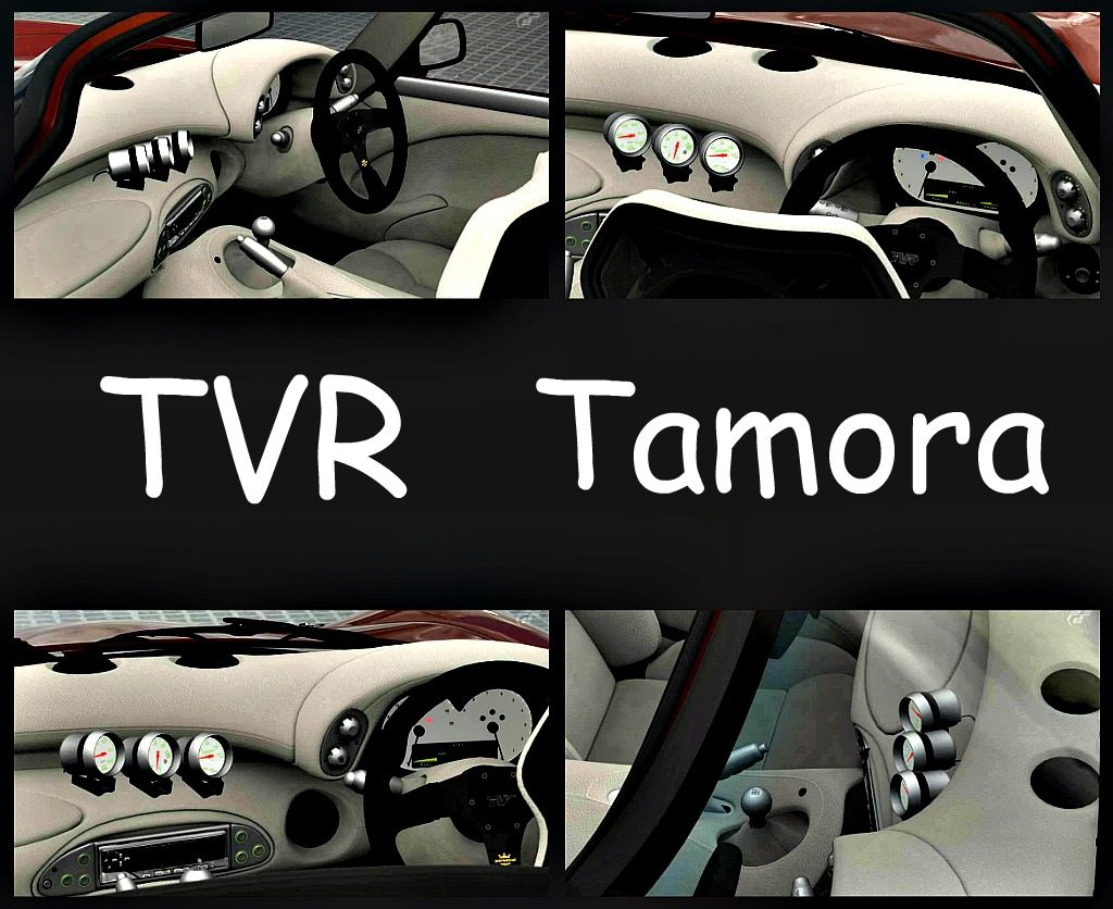Ribbet collage-TVRTamora-gauges1.jpg