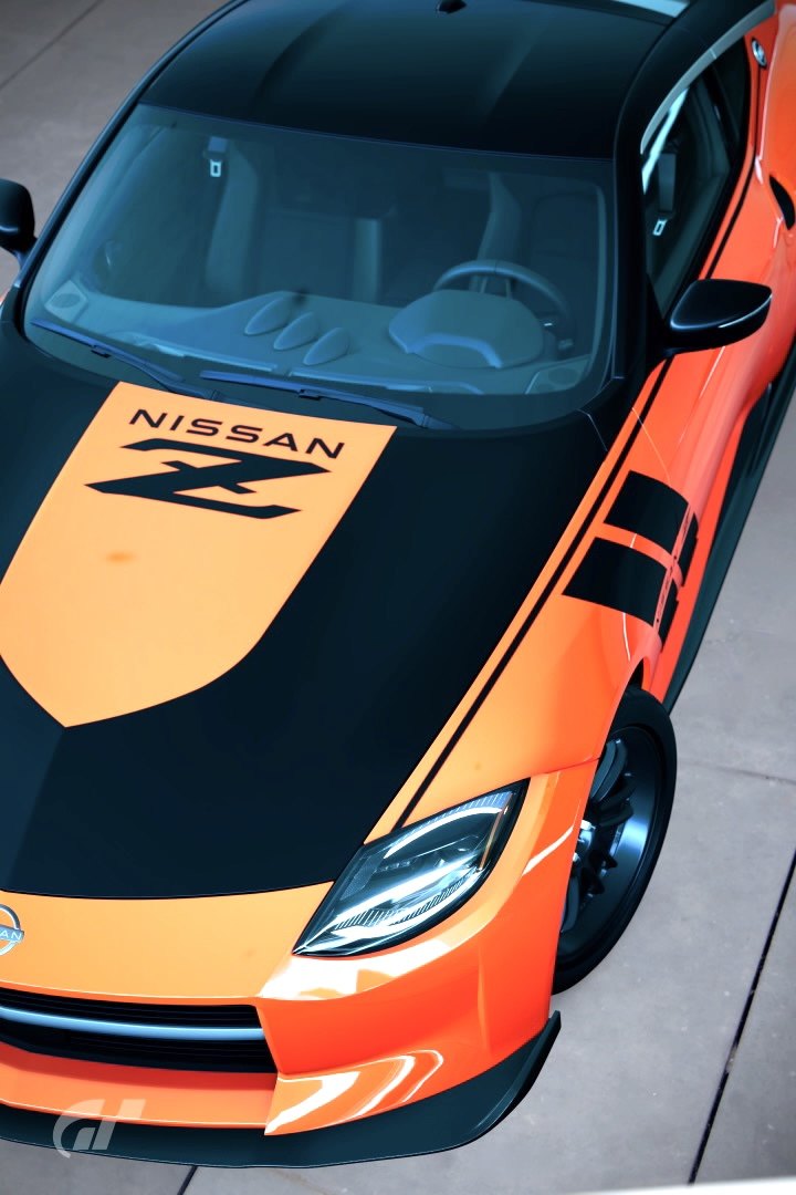 RZ34 Heritage_roof