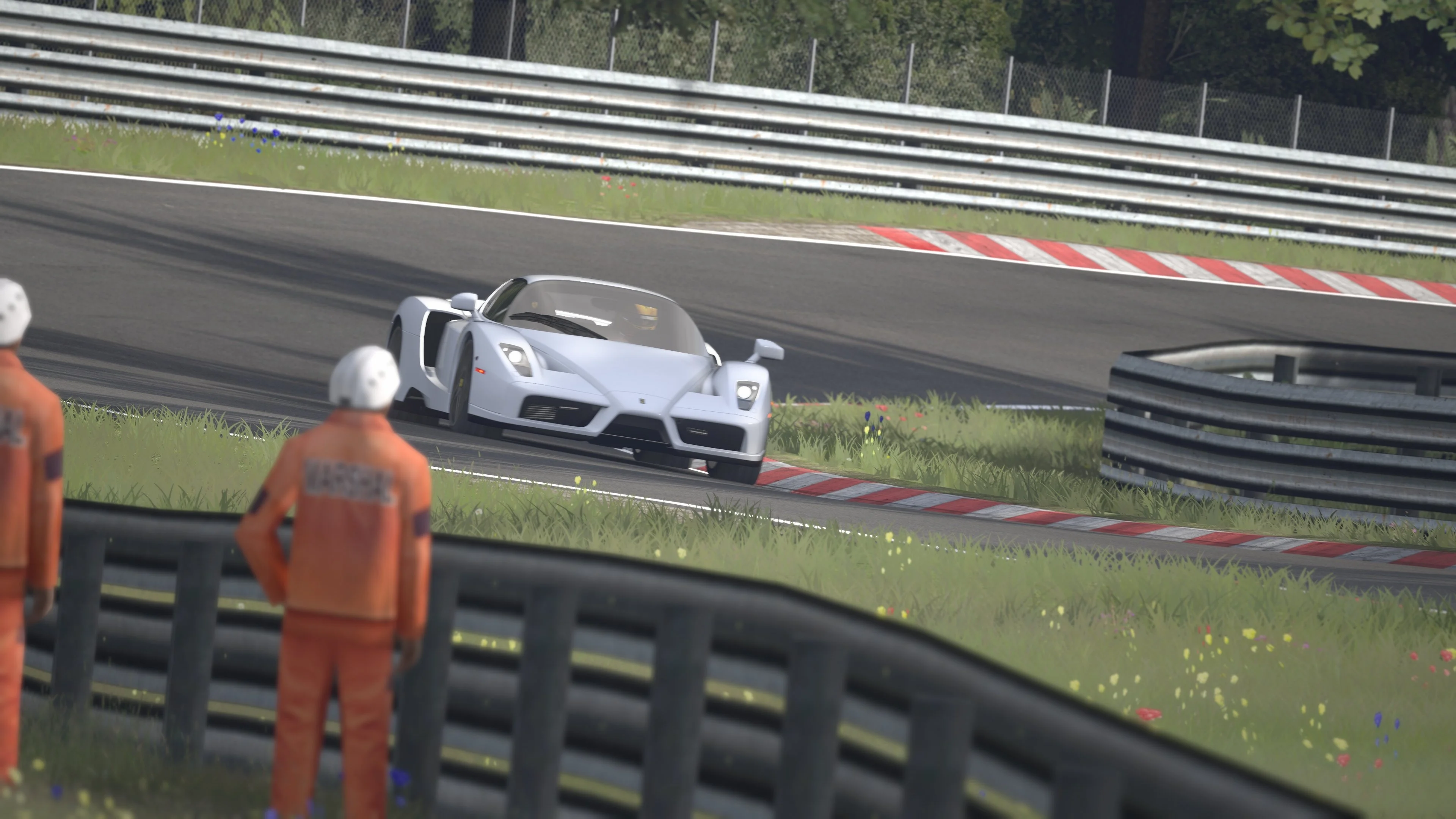 Screenshot_bg_ferrari_enzo_ks_nordschleife_6-6-126-20-0-3.webp
