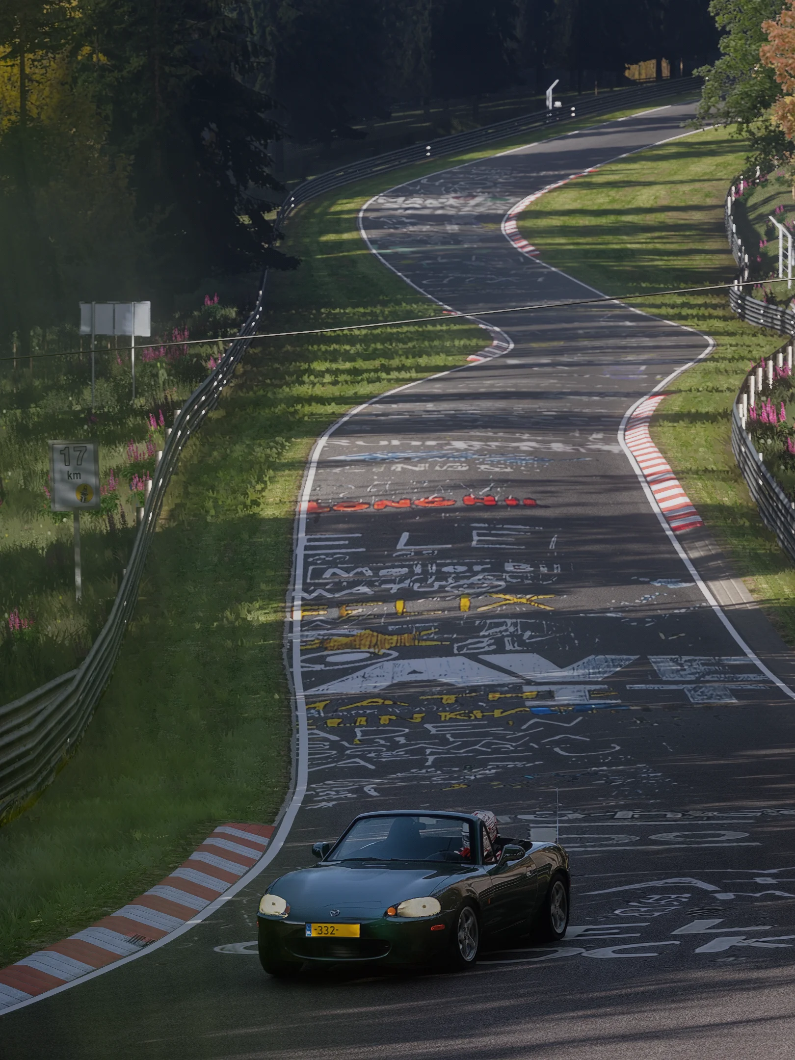 Screenshot_mp_mazda_mx5_nb1_ks_nordschleife_6-9-126-17-38-8.webp