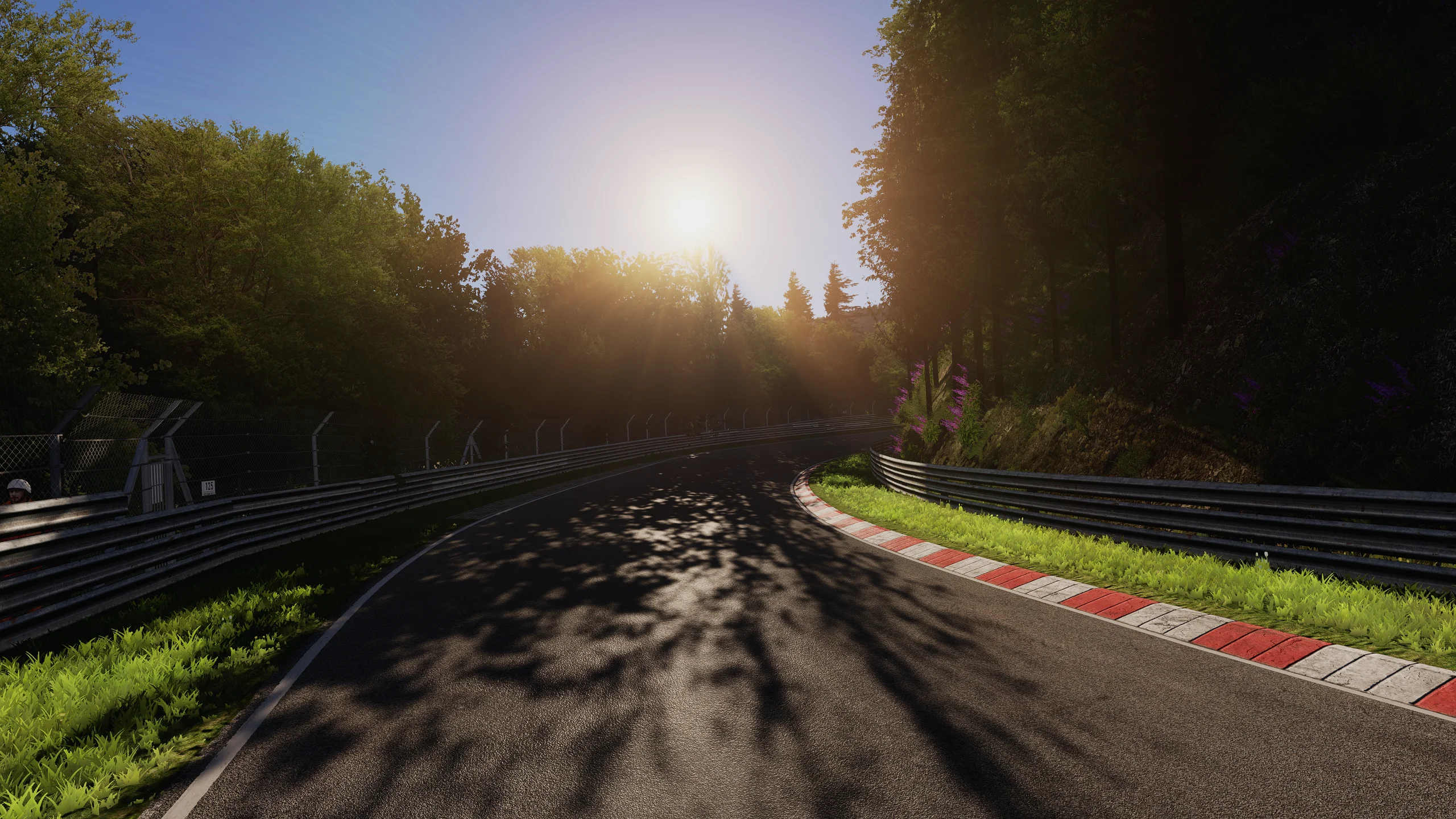 Screenshot_pagani_zonda_r_ks_nordschleife_17-9-126-18-23-55.webp