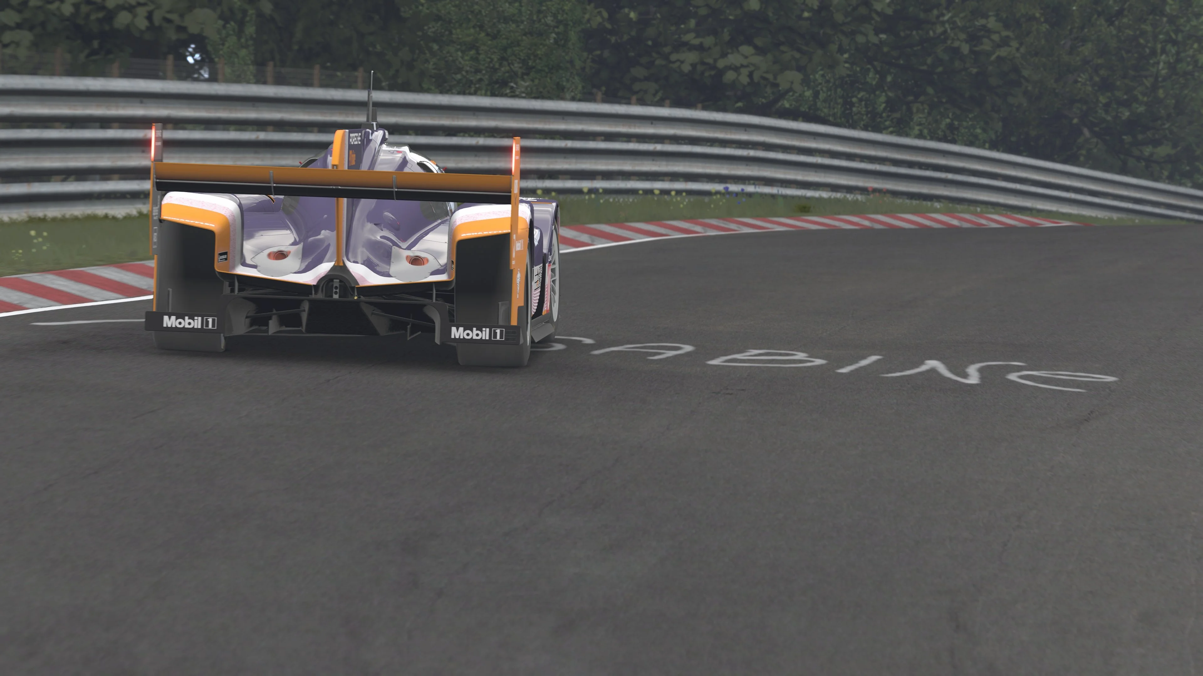 Screenshot_rss_lmp1_protech_p91_evo_ks_nordschleife_26-5-126-18-27-13.webp