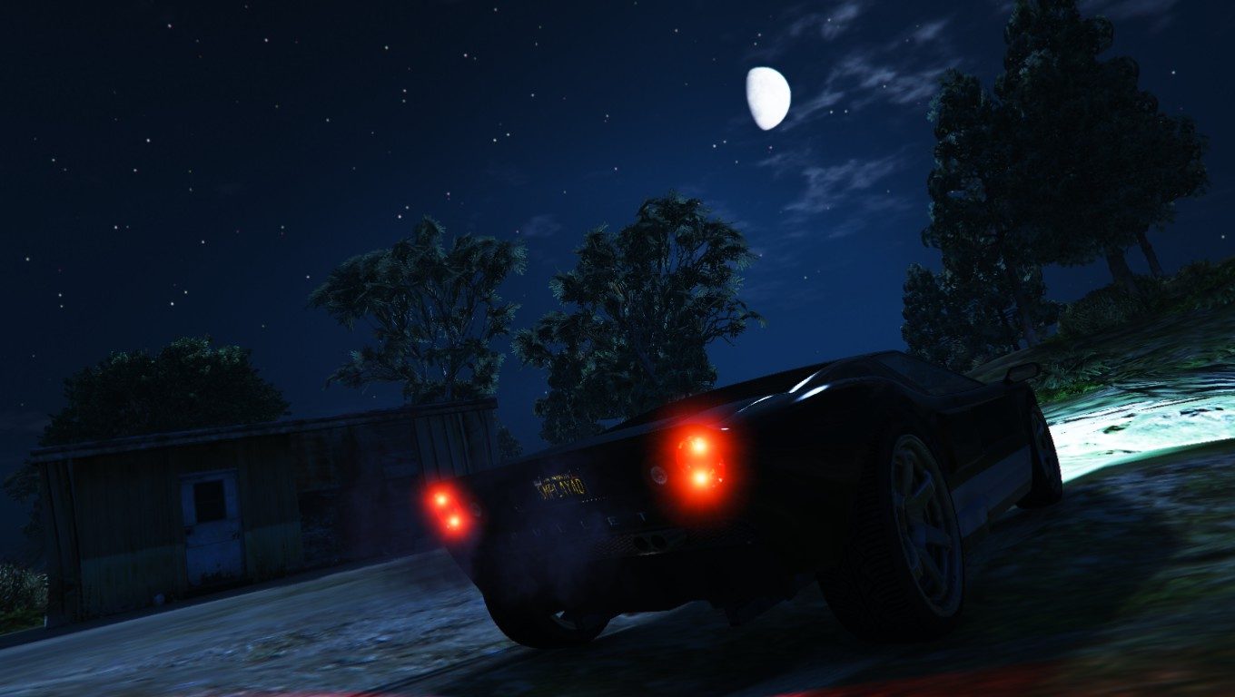 Shoot a bullet in Paleto, and they say it's a false alarm 6