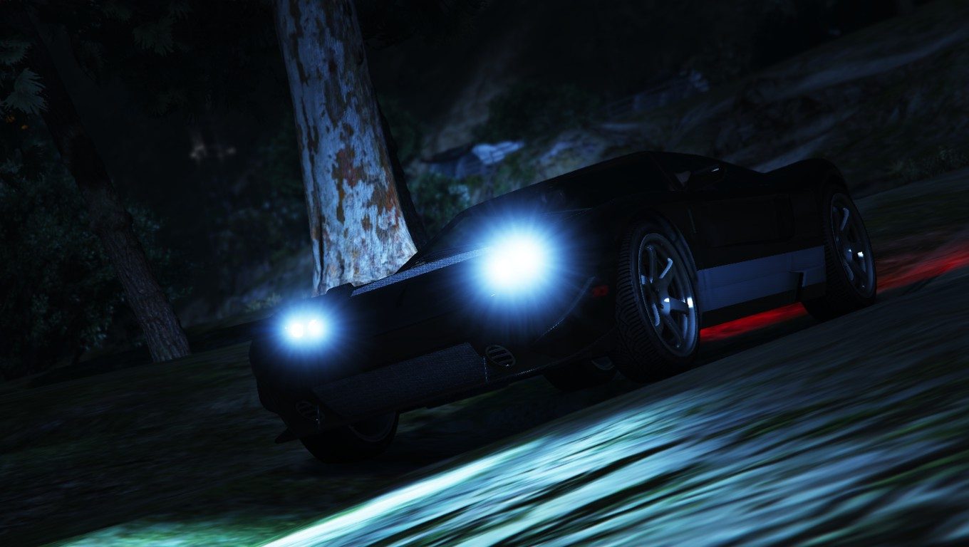 Shoot a bullet in Paleto, and they say it's a false alarm 7