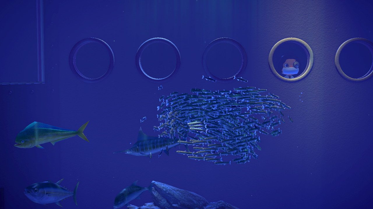 Some nice ocean fish swimming about, and a fairly curious Mister Doctor Professor Sonny