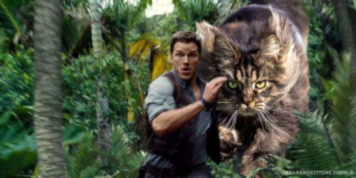 Someone-replaced-all-of-the-dinosaurs-in-jurassic-park-with-cats-21-photos-21