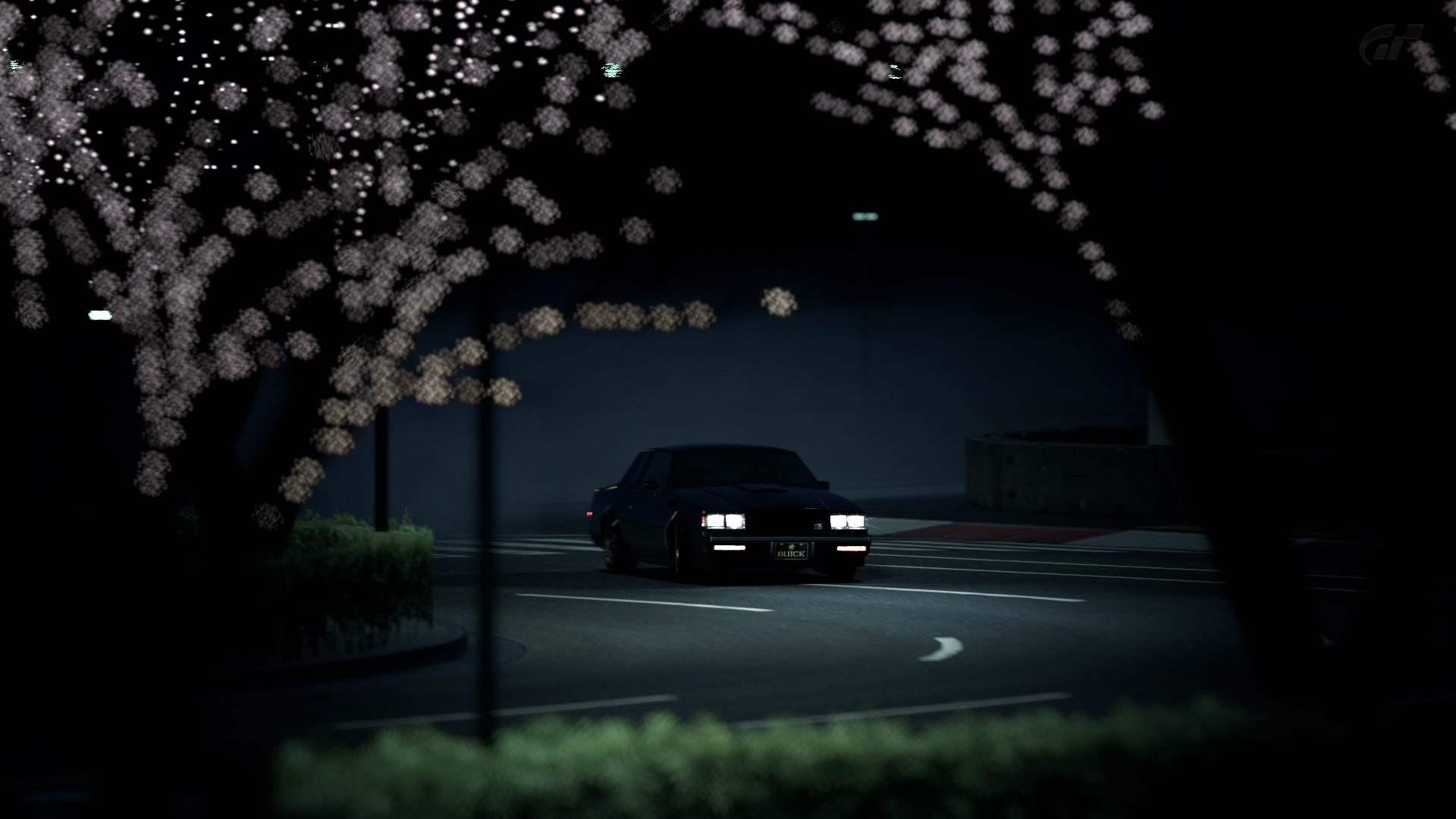 Special Stage Route 5_5.jpg
