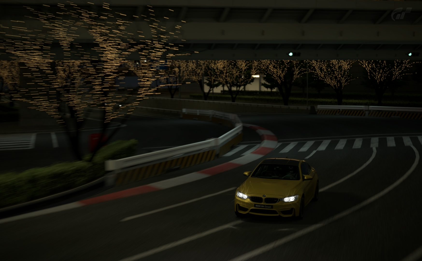 Special Stage Route 5_79