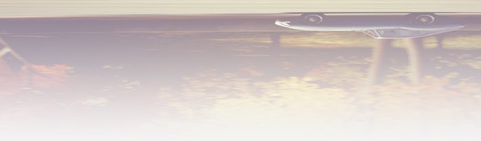 Ss_jag_present_5