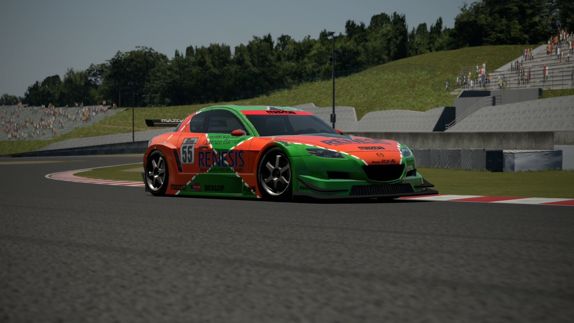 Suzuka Circuit 2014_3
