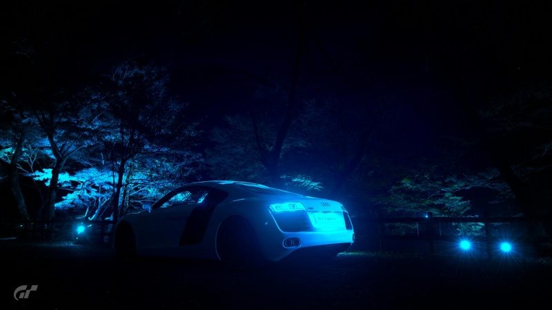 The Blue Night.jpg