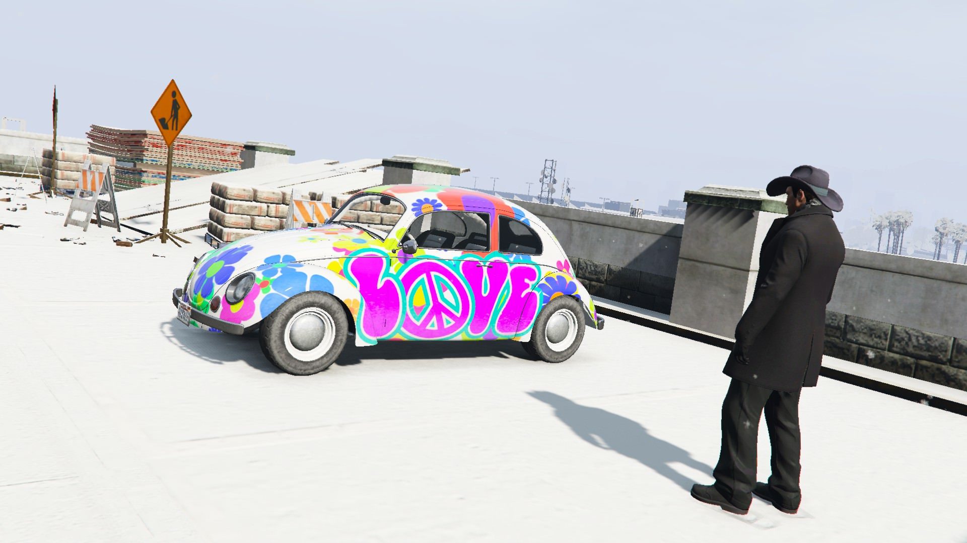 The love bug 1